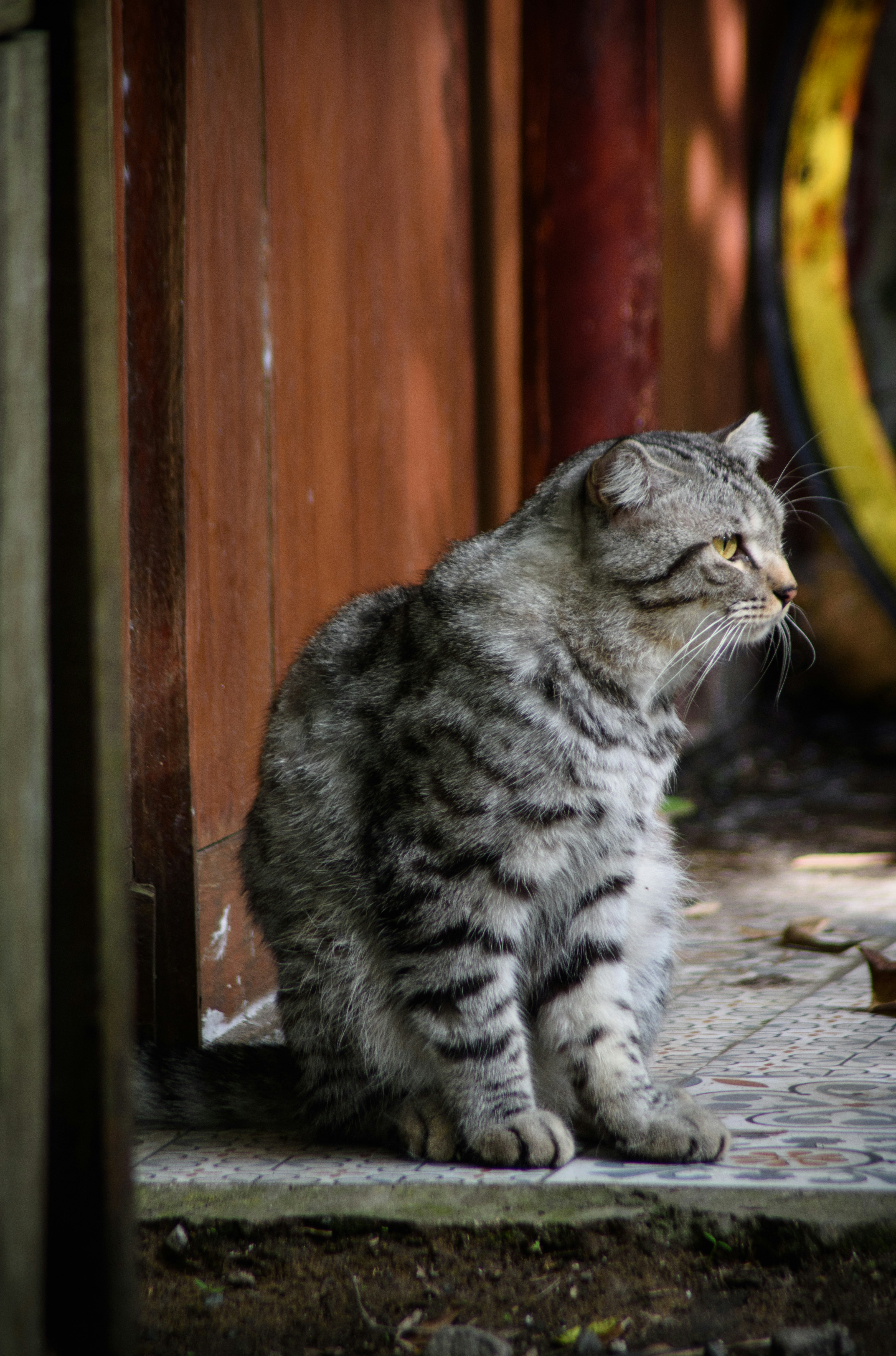 Photo by haungynphuc