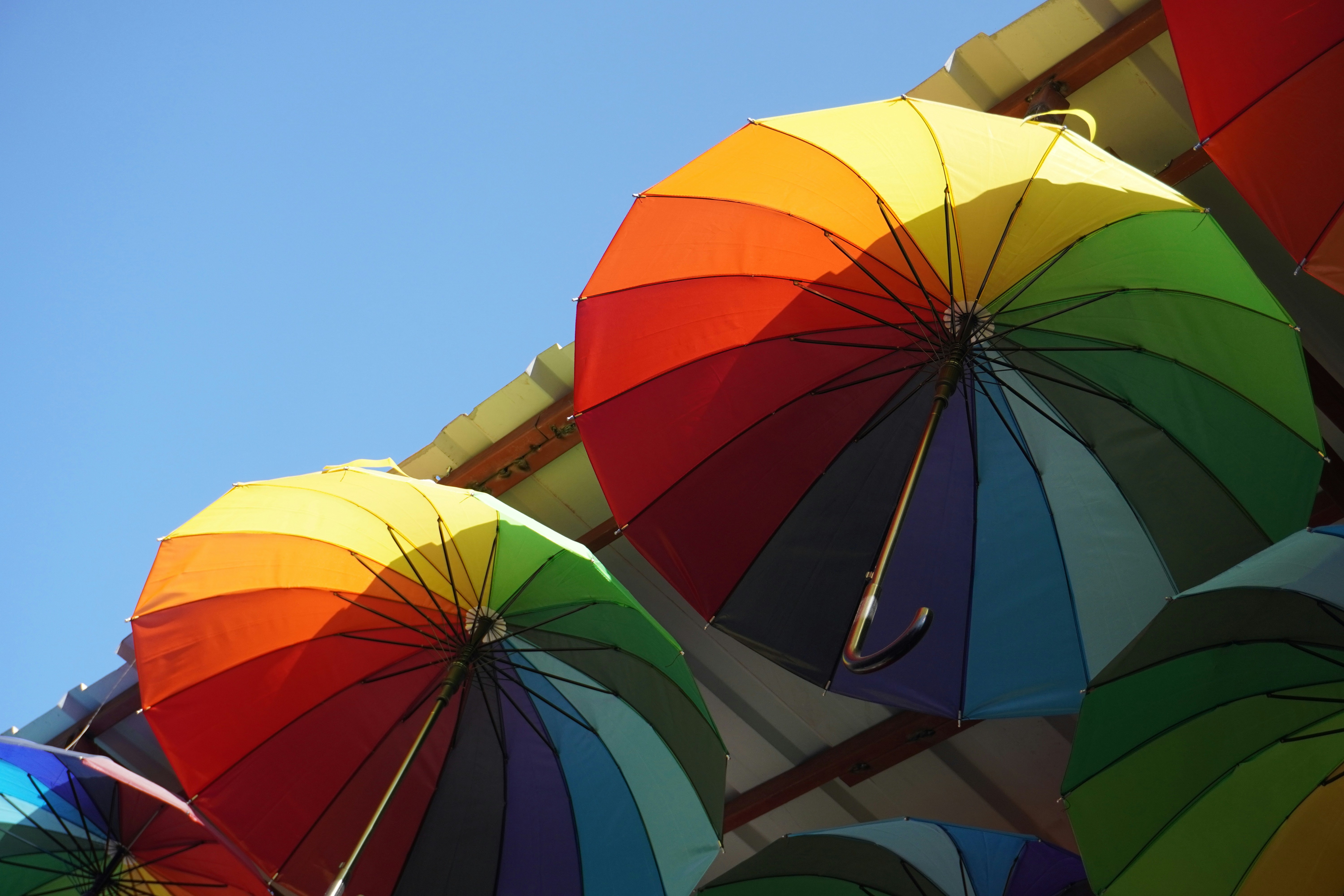 Photo by nesrinphoto