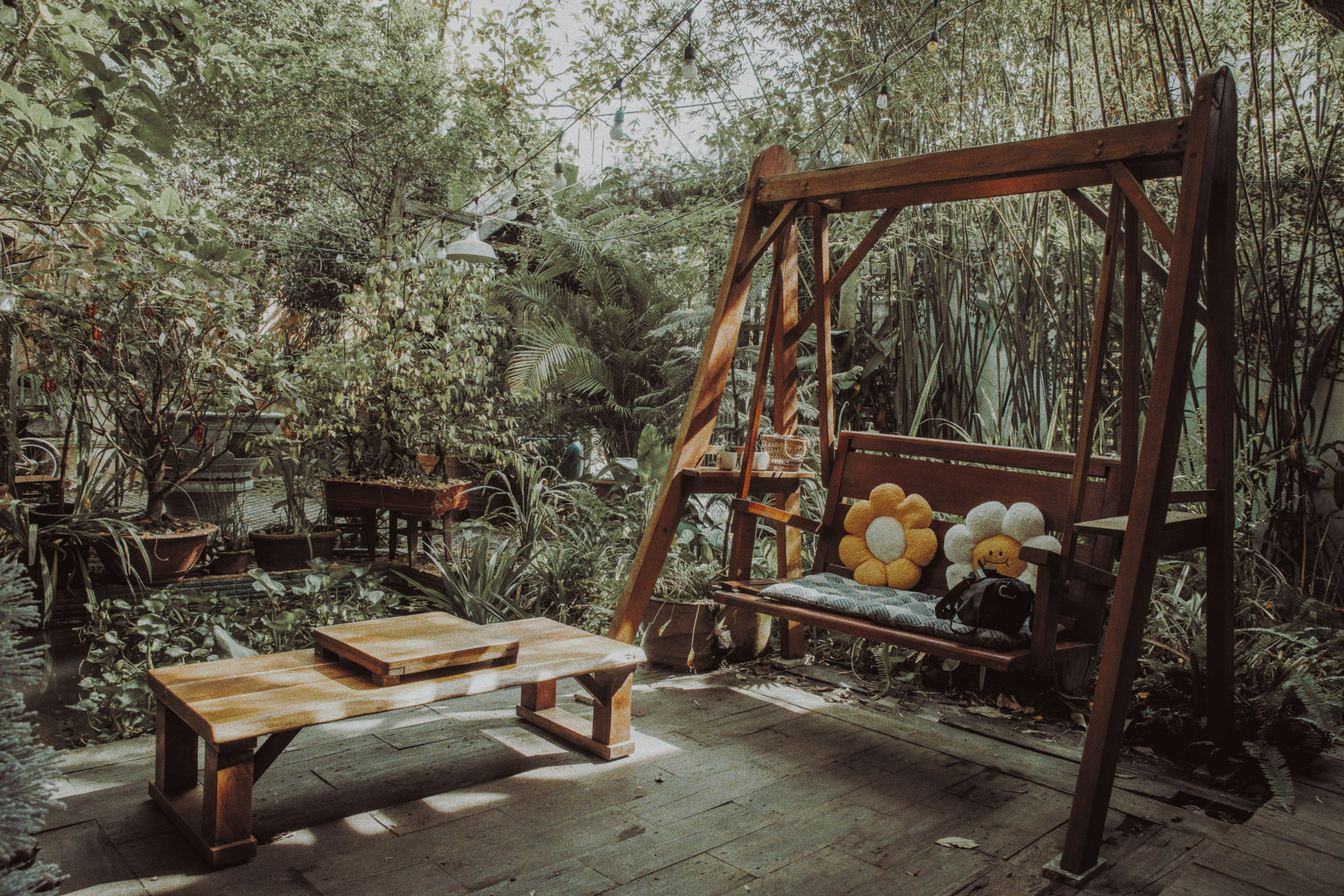 Photo by haungynphuc