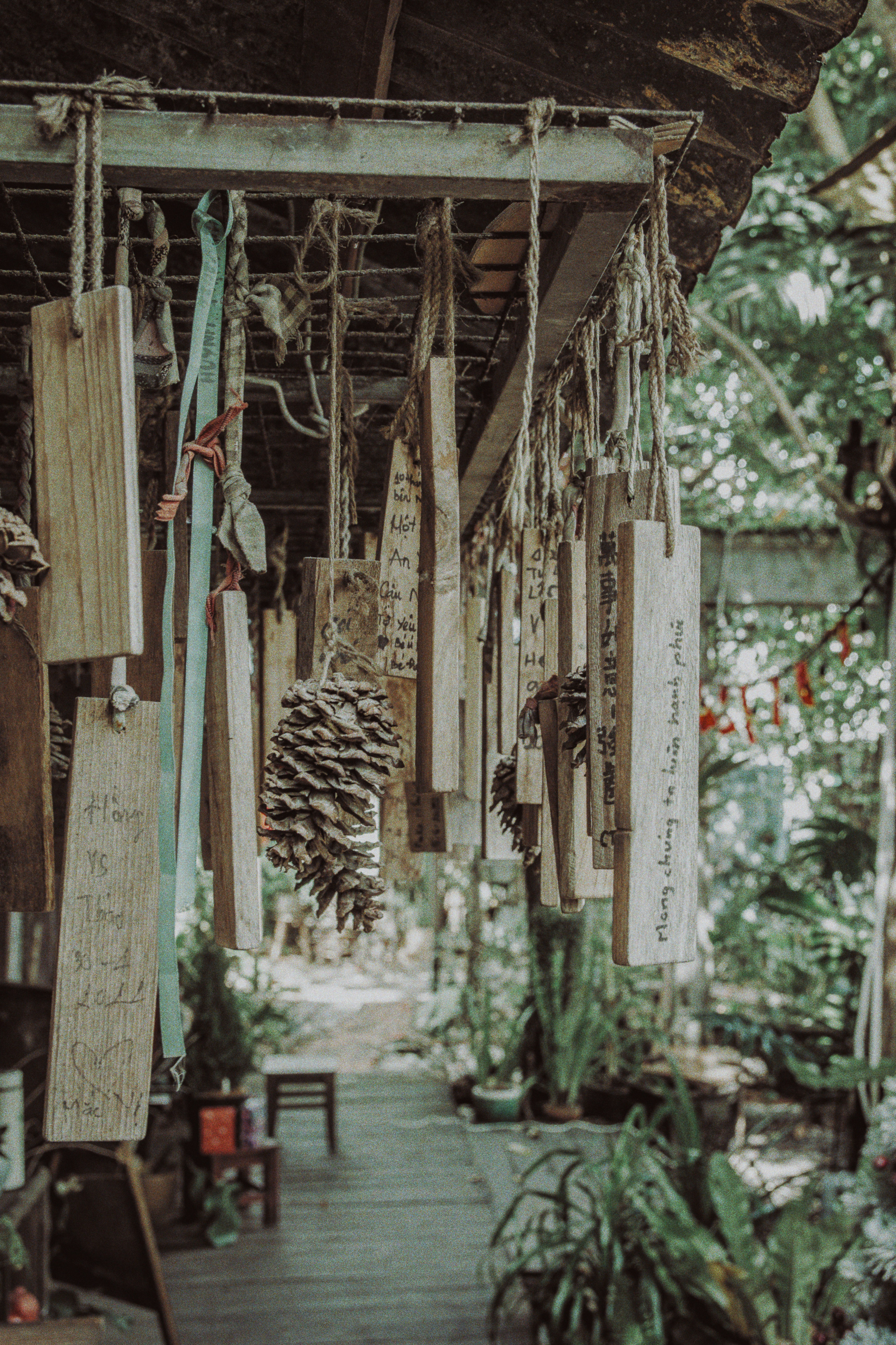 Photo by haungynphuc