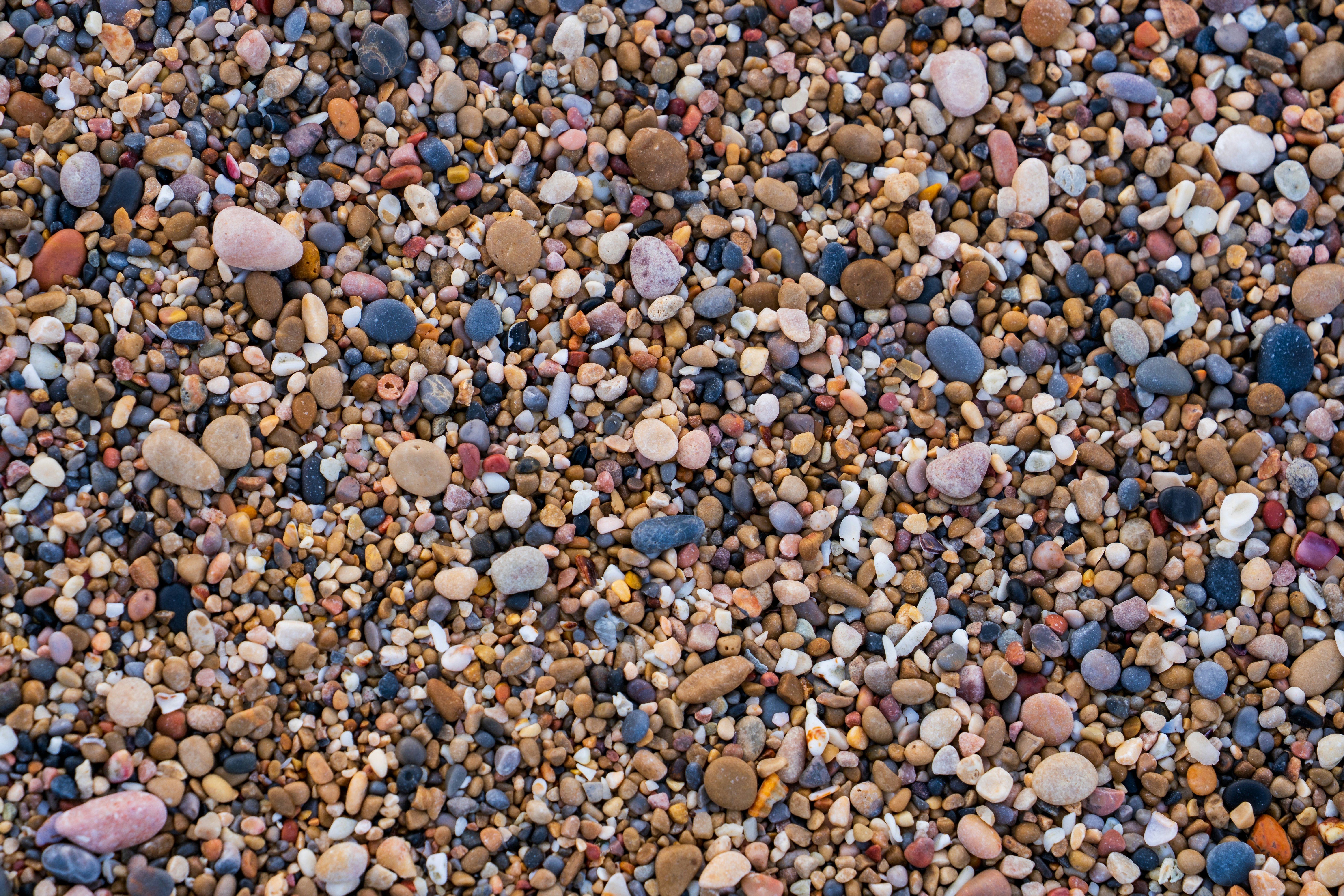 A close-up view of colorful pebbles on a beach.
