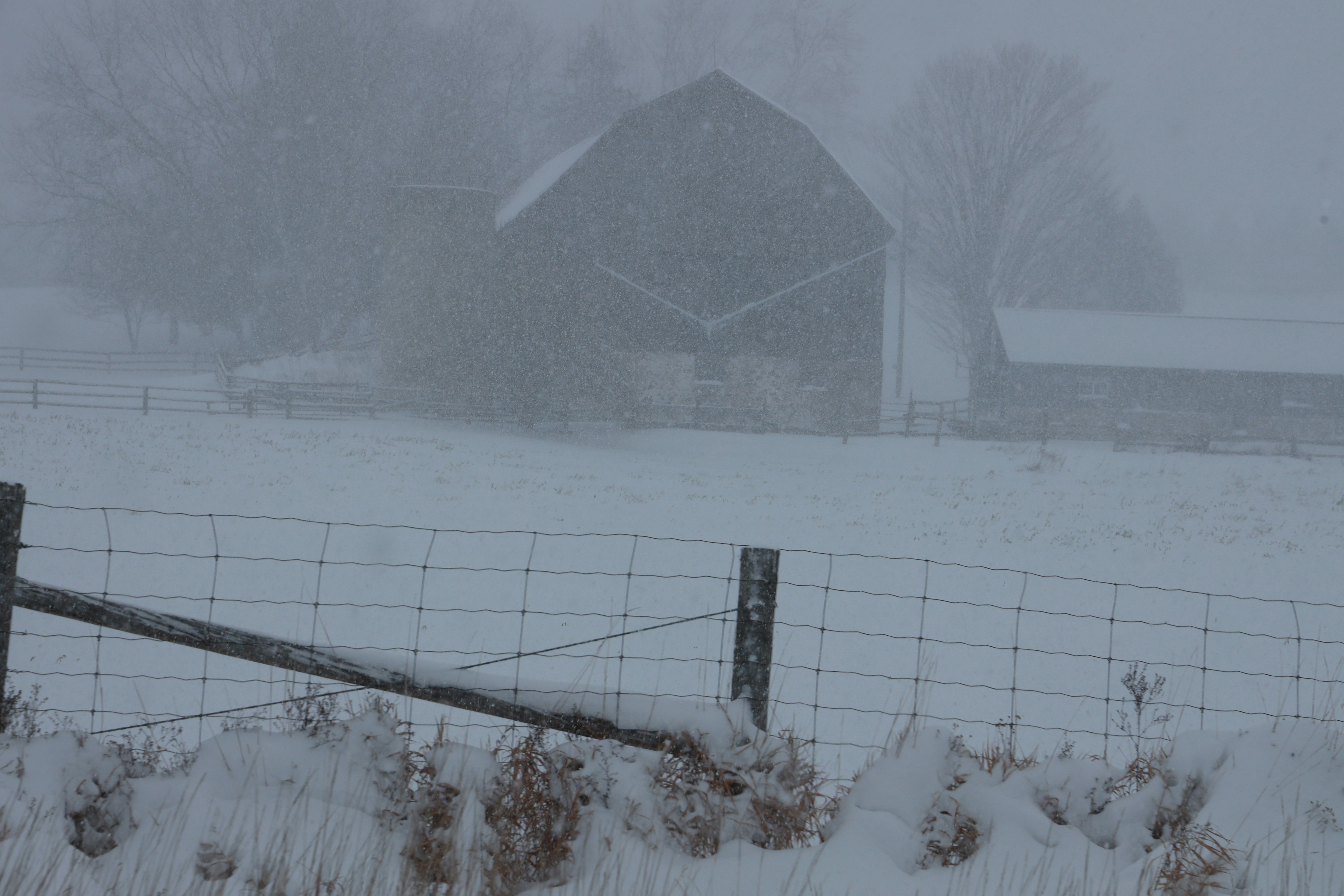 Photo by richardworks