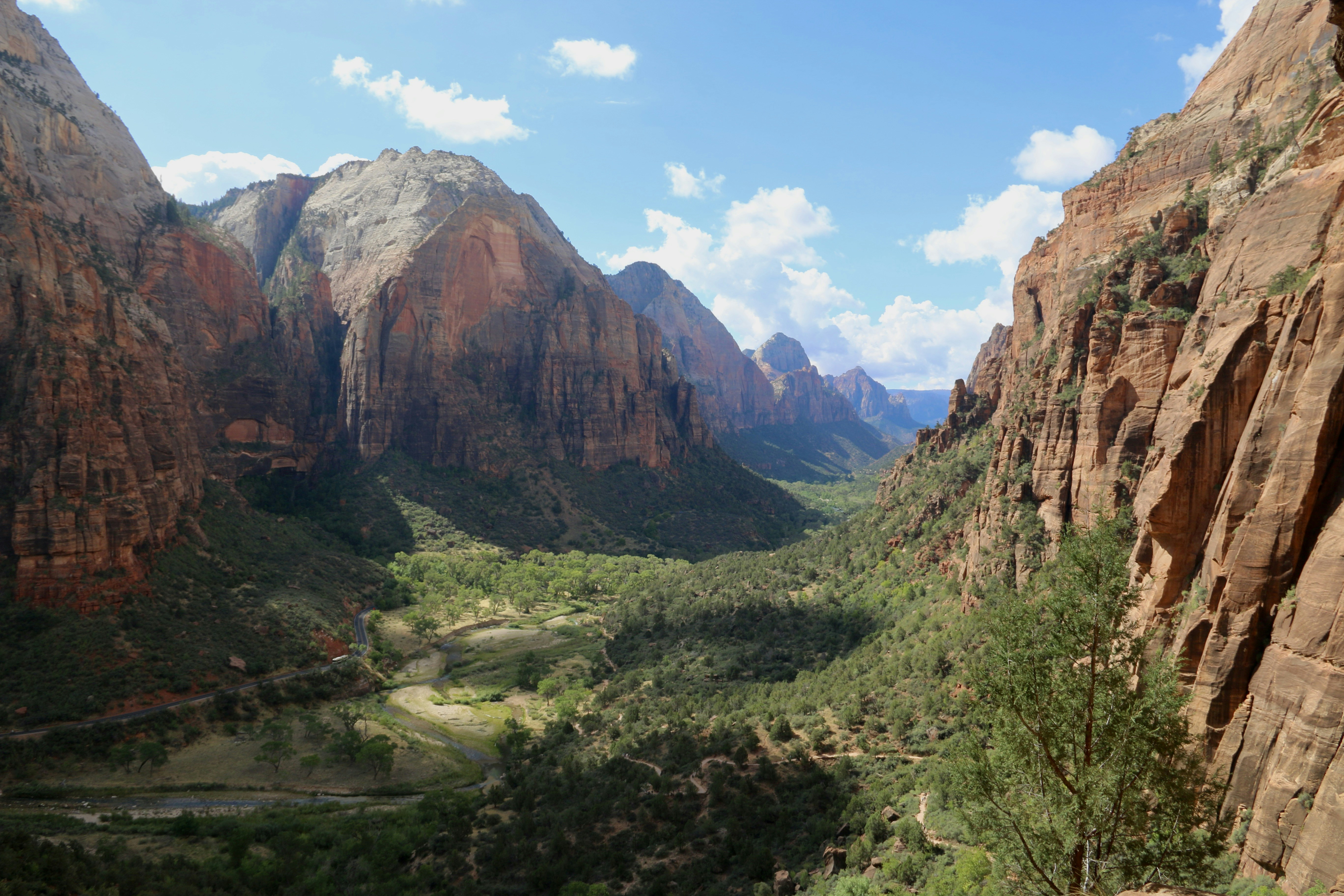 Photo by polinakoroleva