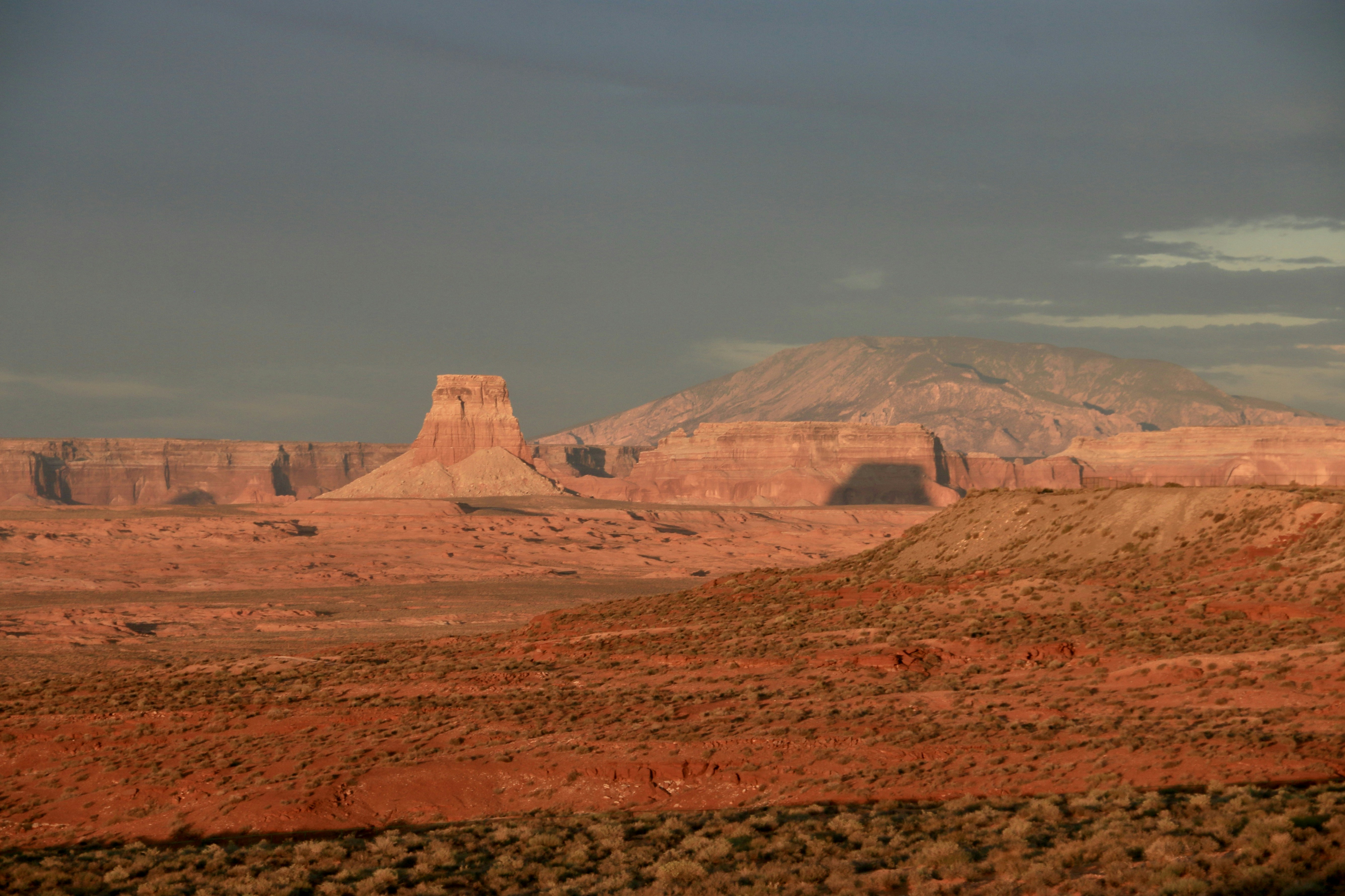 Photo by polinakoroleva