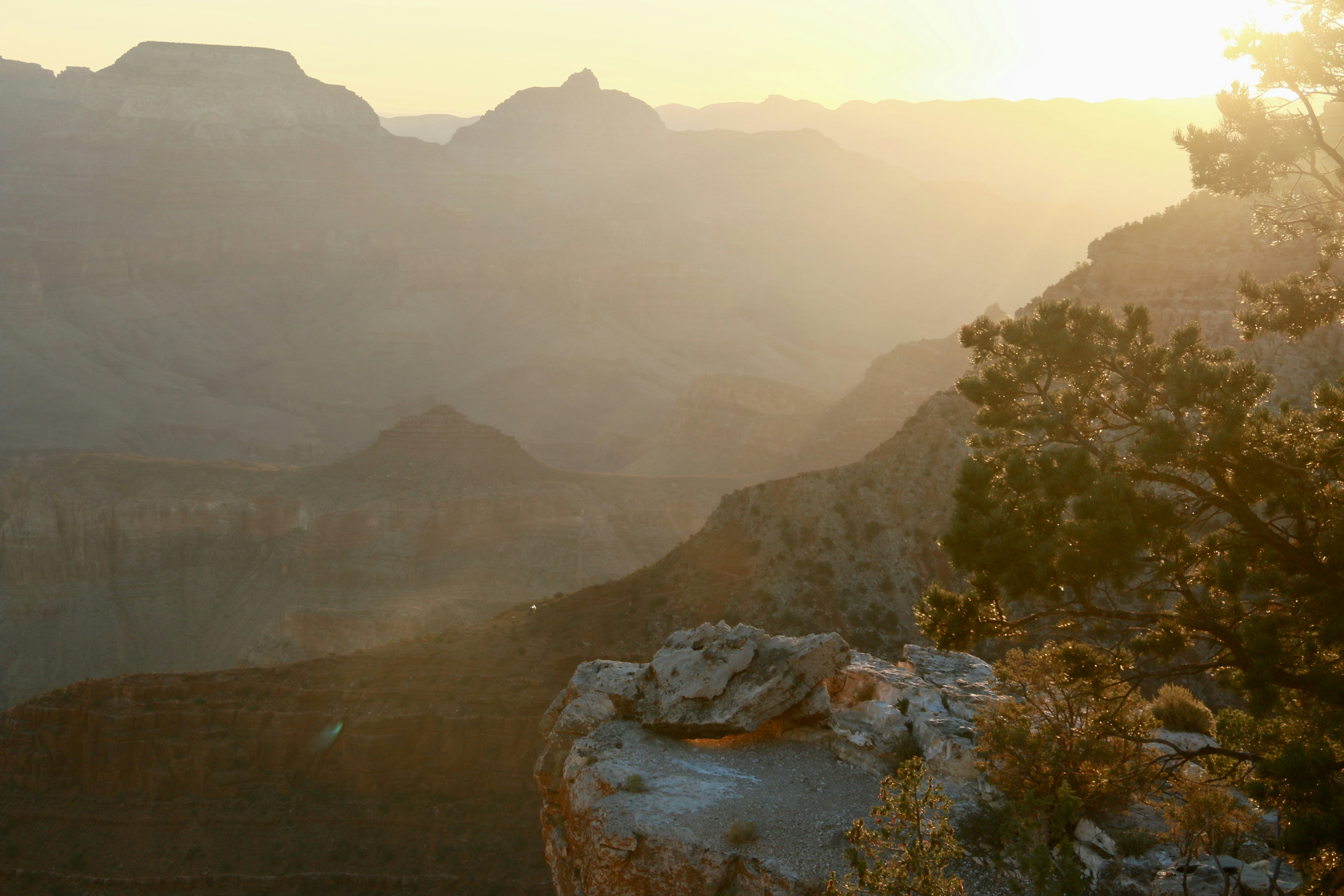 Photo by polinakoroleva