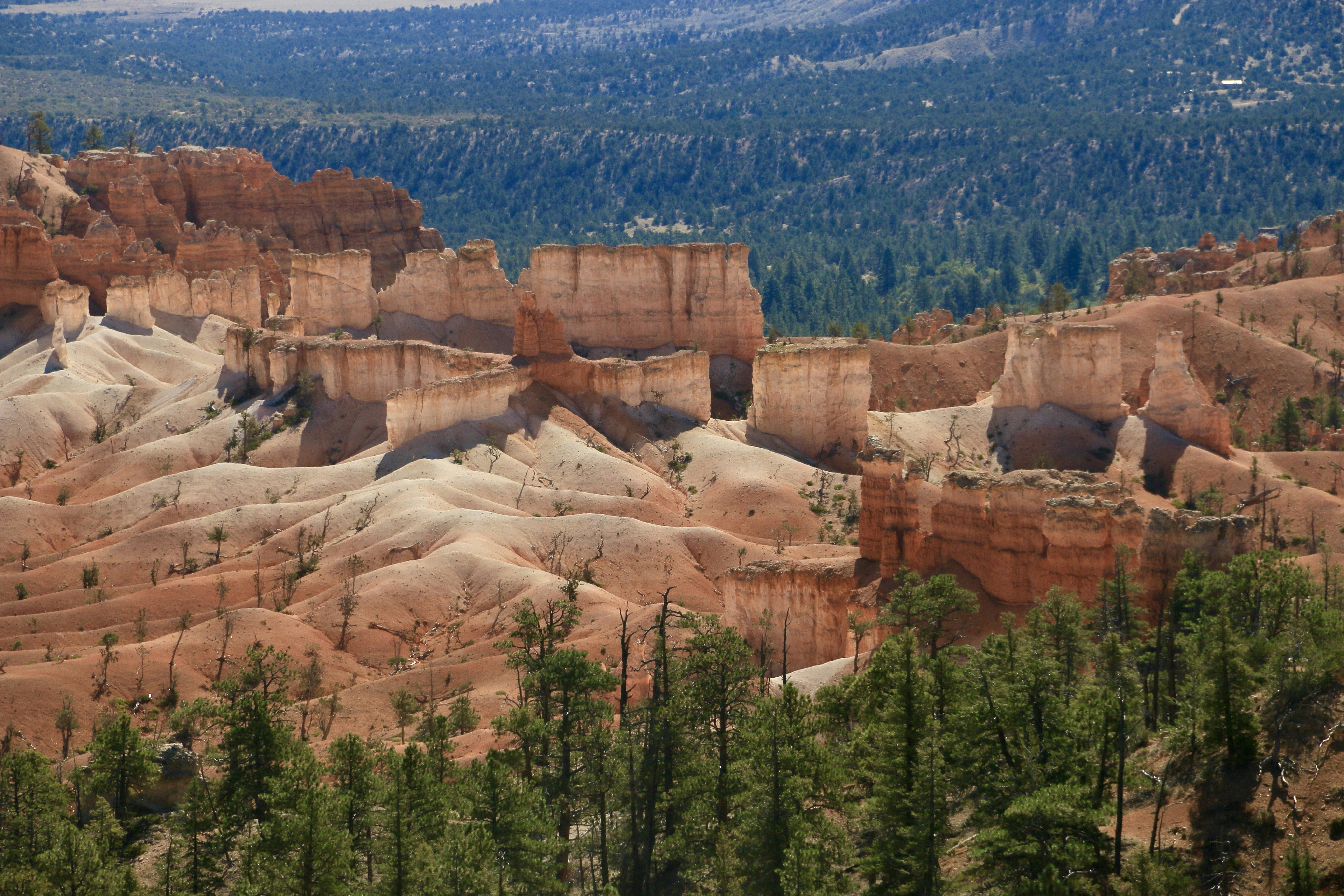 Photo by polinakoroleva