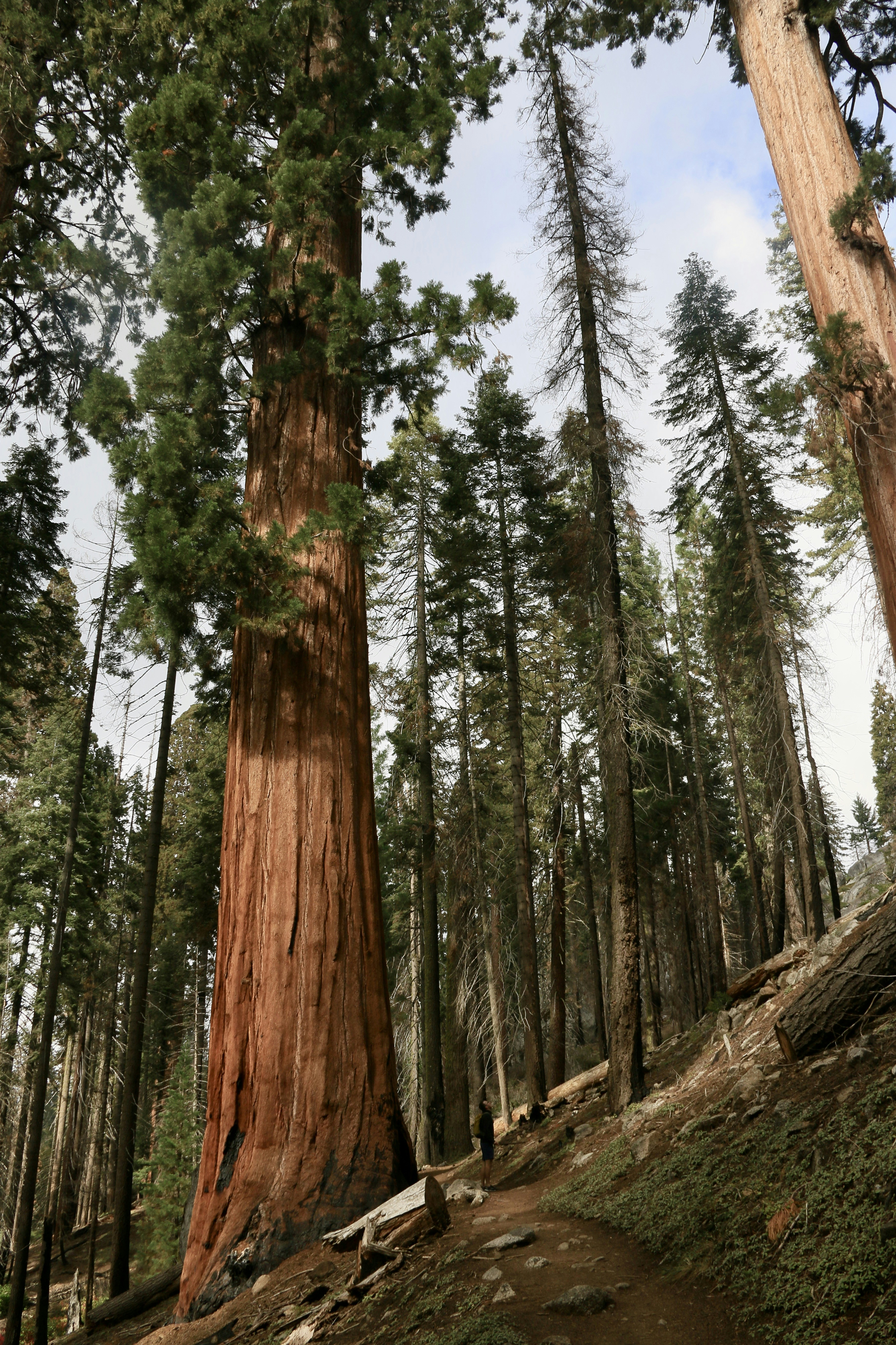 Photo by polinakoroleva