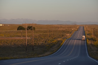 Long empty road stretching towards distant mountains at sunset