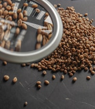 Unroasted coffee beans viewed through a magnifying glass.