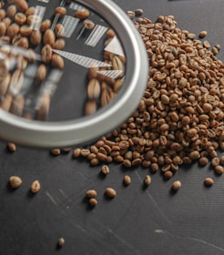 Unroasted coffee beans viewed through a magnifying glass.