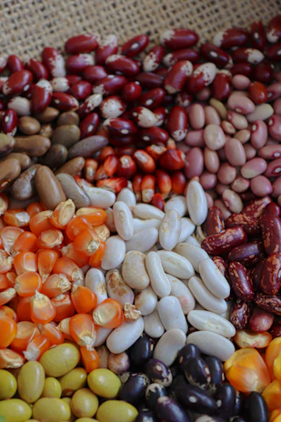 Assortment of dried beans and corn kernels.