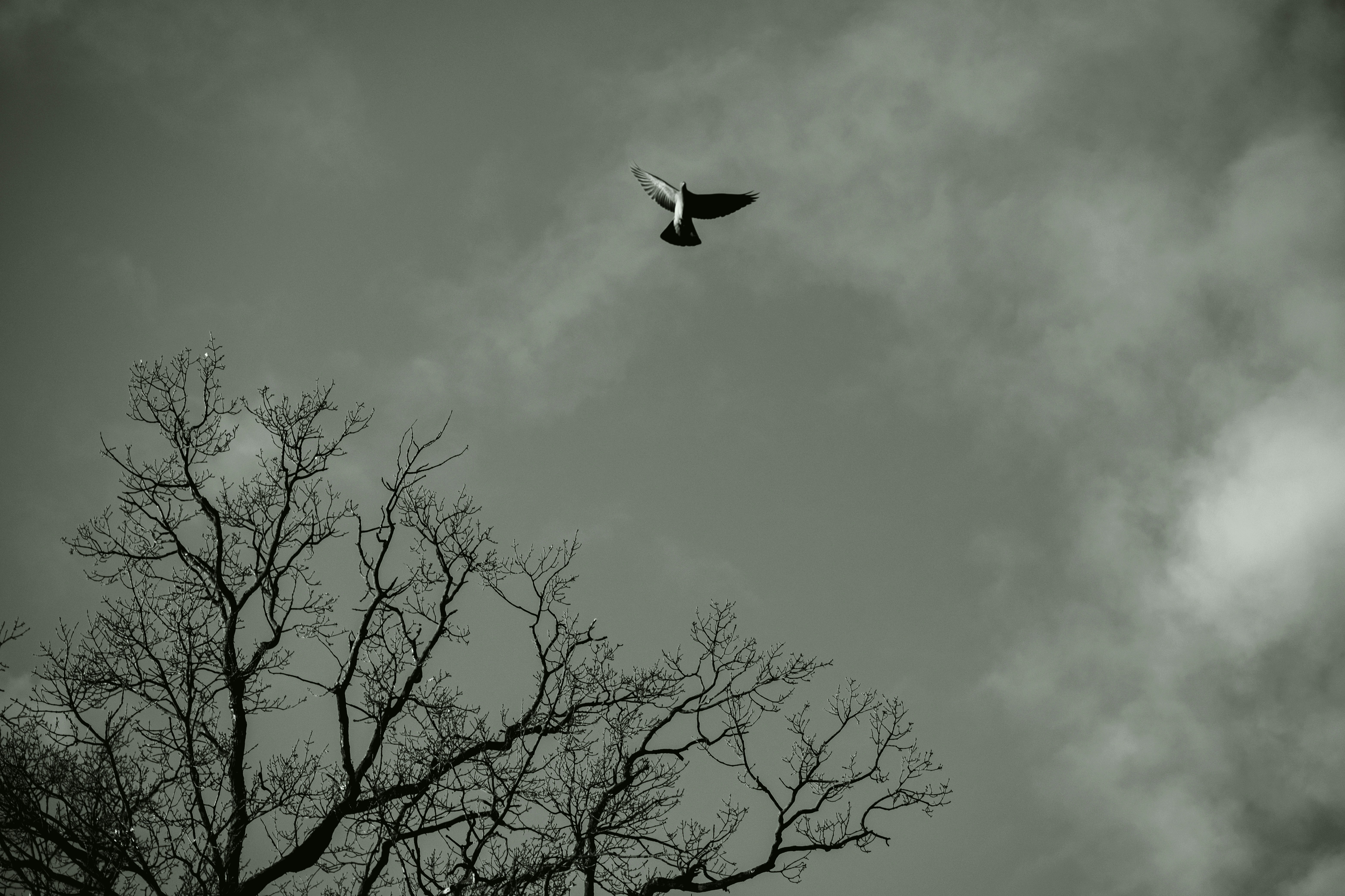 Your Ultimate Guide to Navigating Your First Time Flying Alone