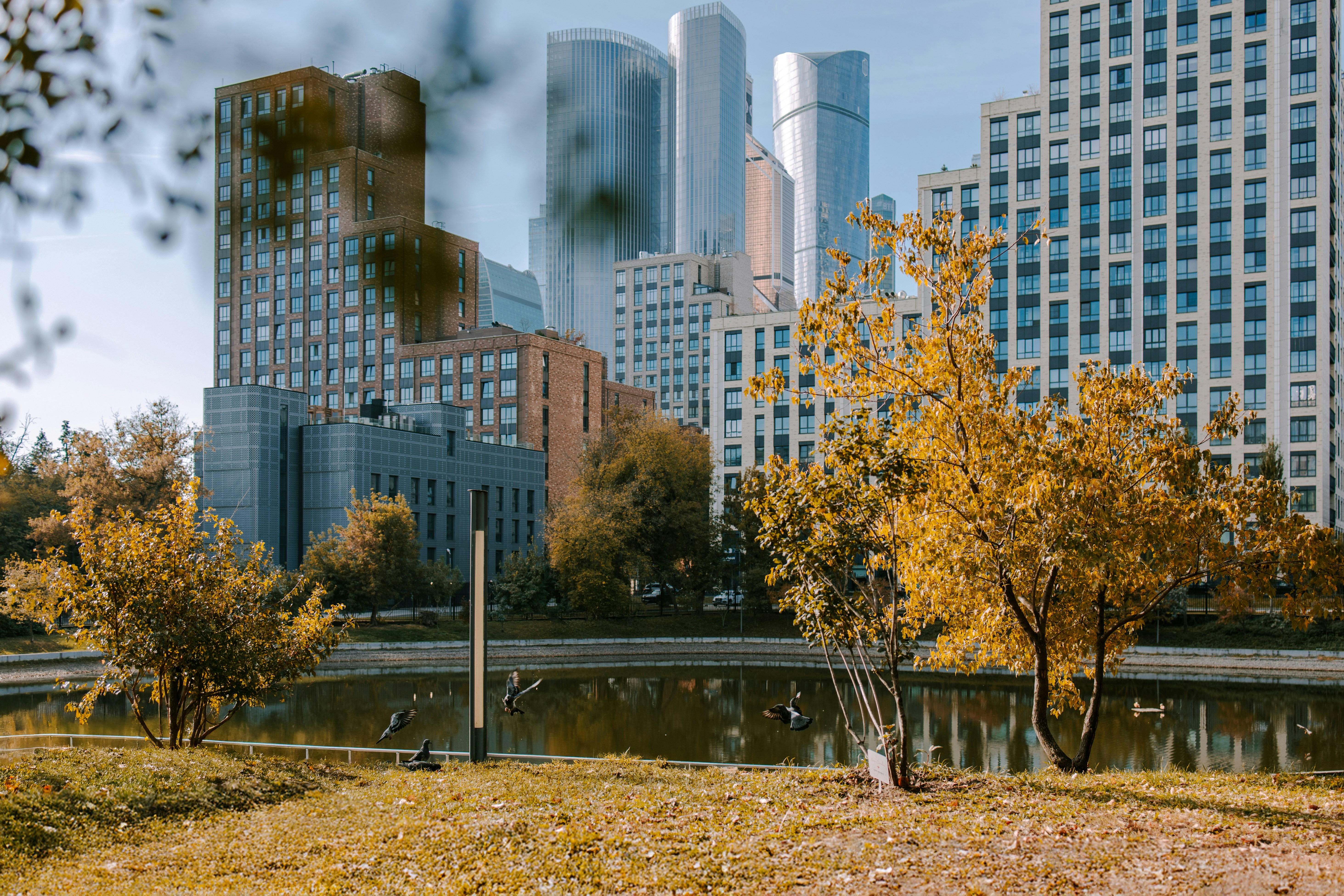 Ward Park