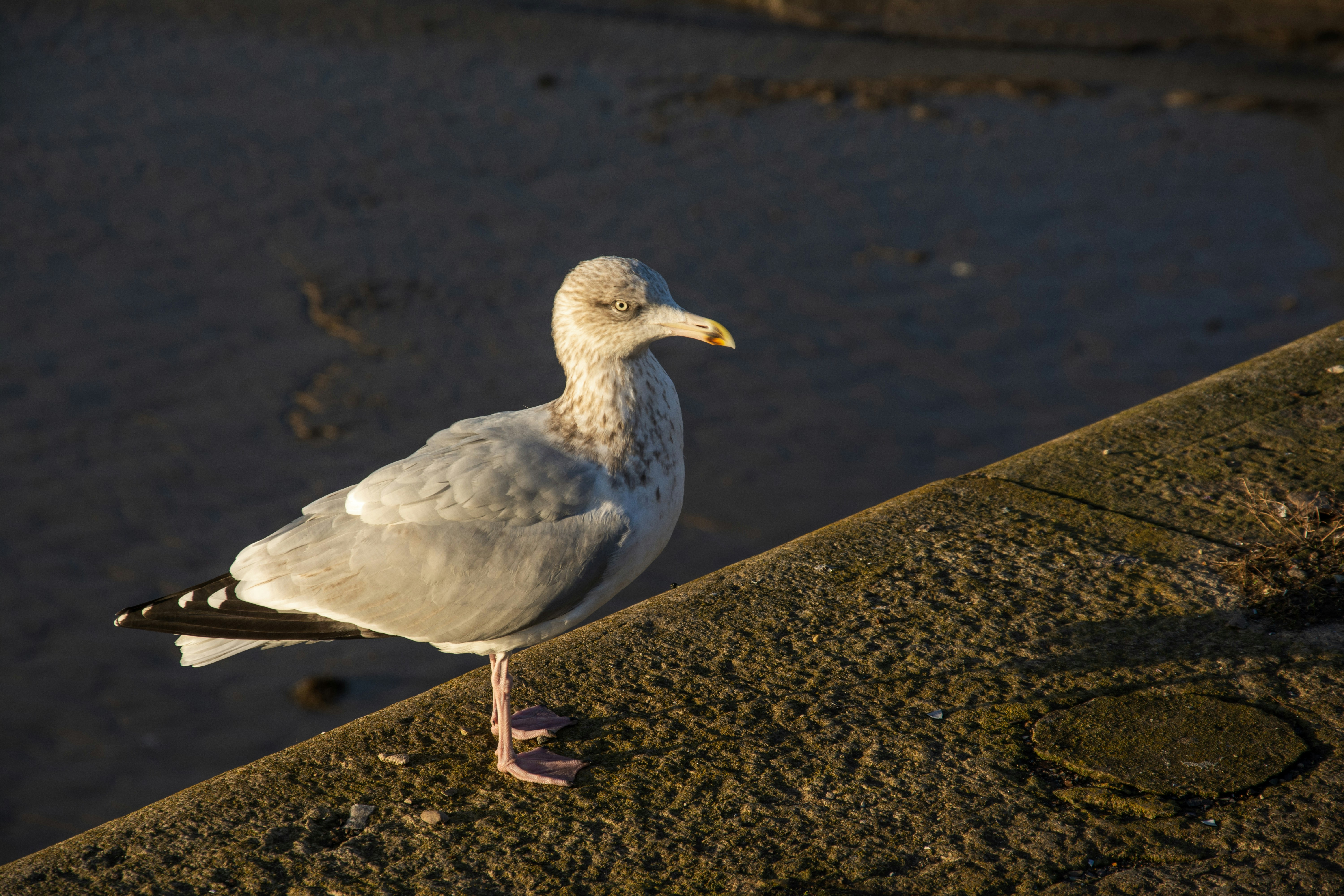 Photo by alexdavidphotos