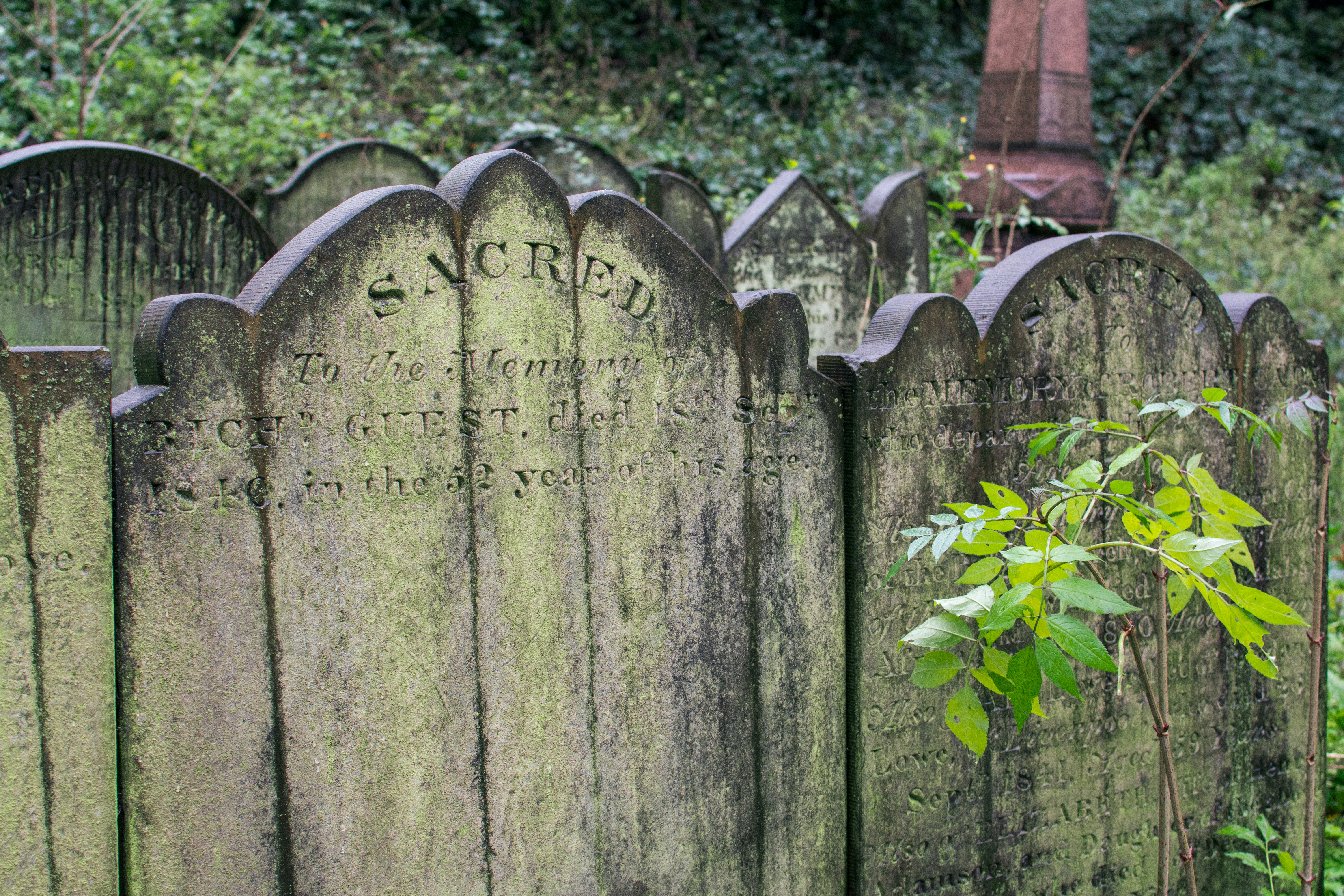 Photo by alexdavidphotos