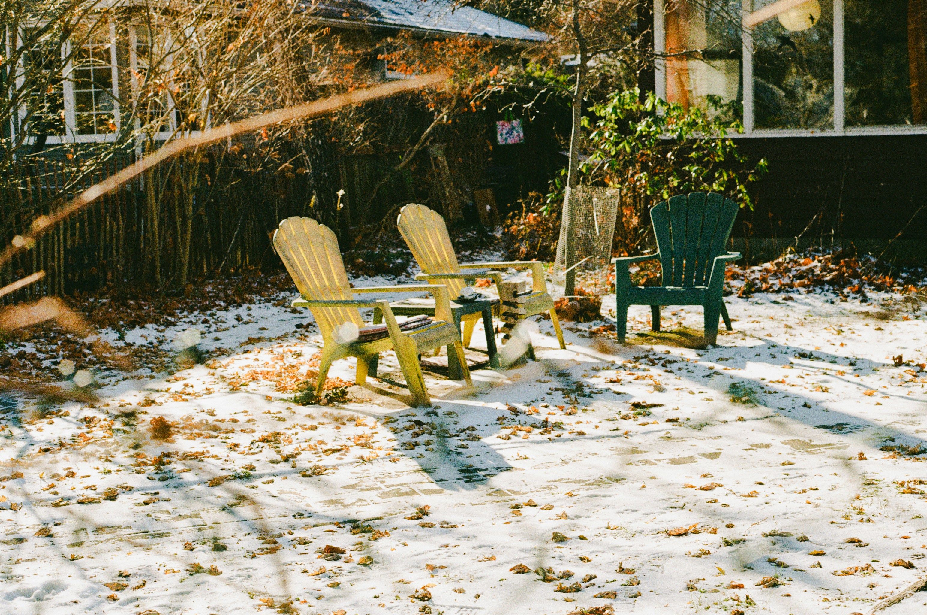 Backyard residential landscape