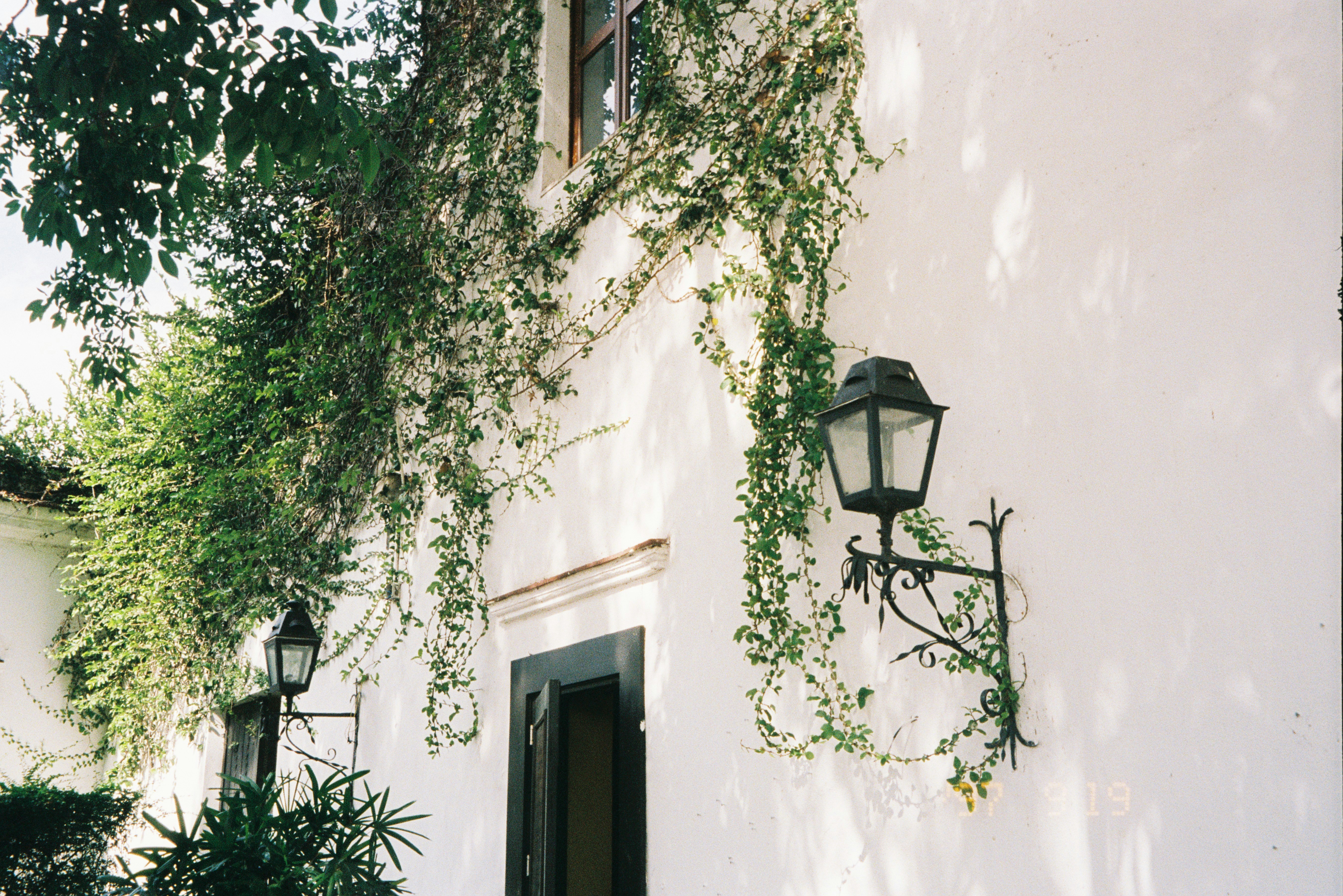 Photo by lauraduranozoria