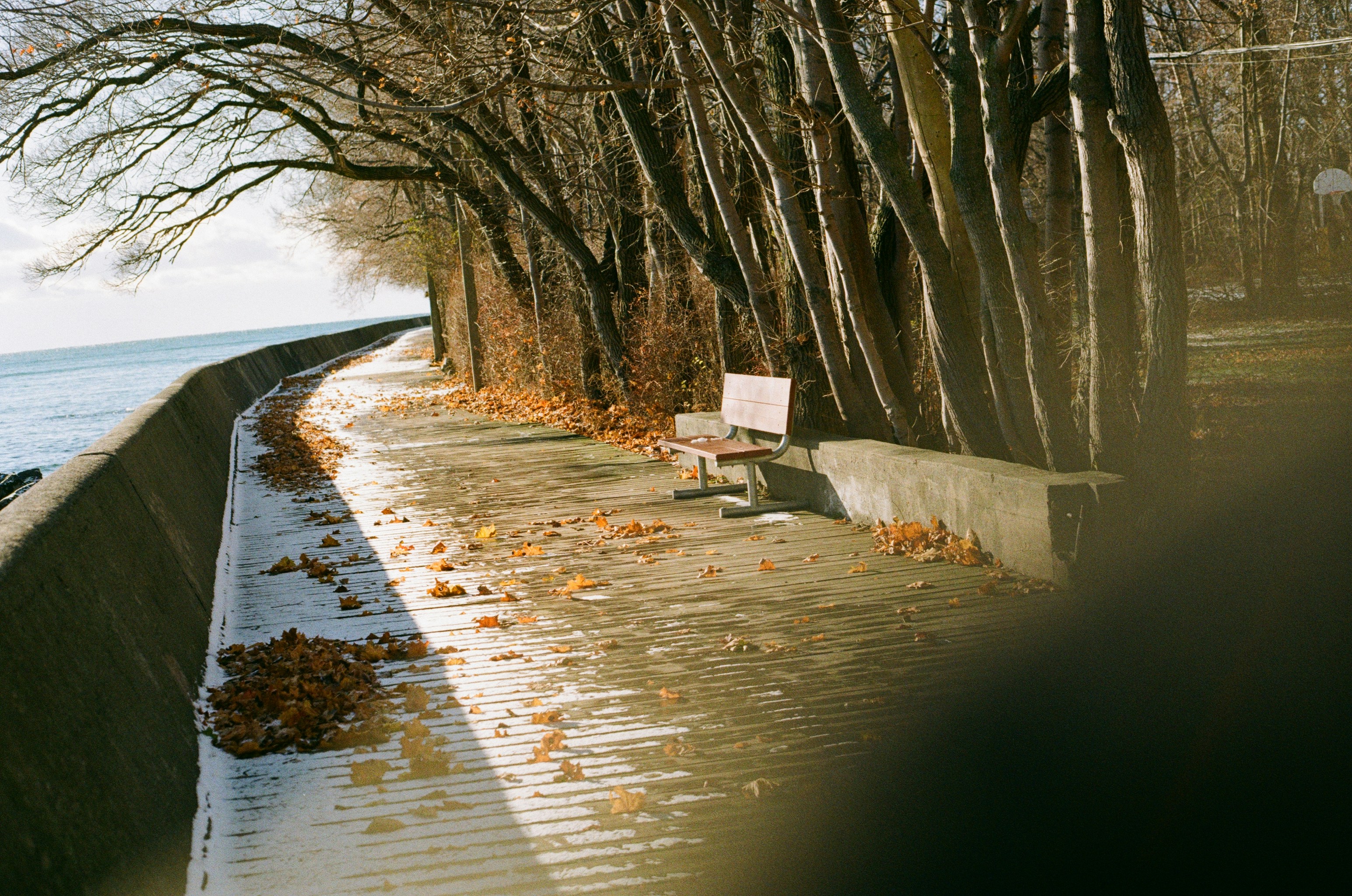 Autumn path along the water with a bench