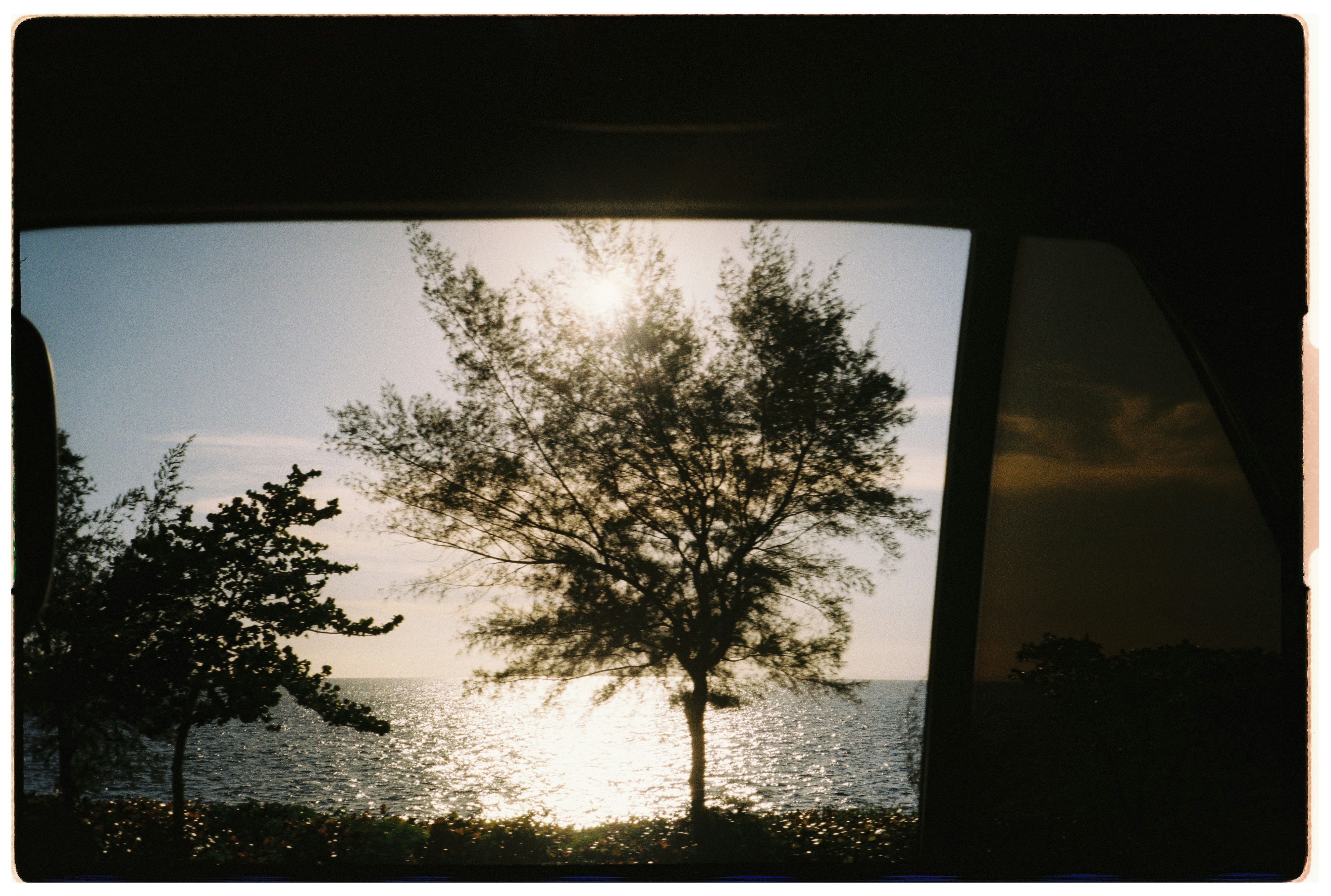 Photo by lauraduranozoria