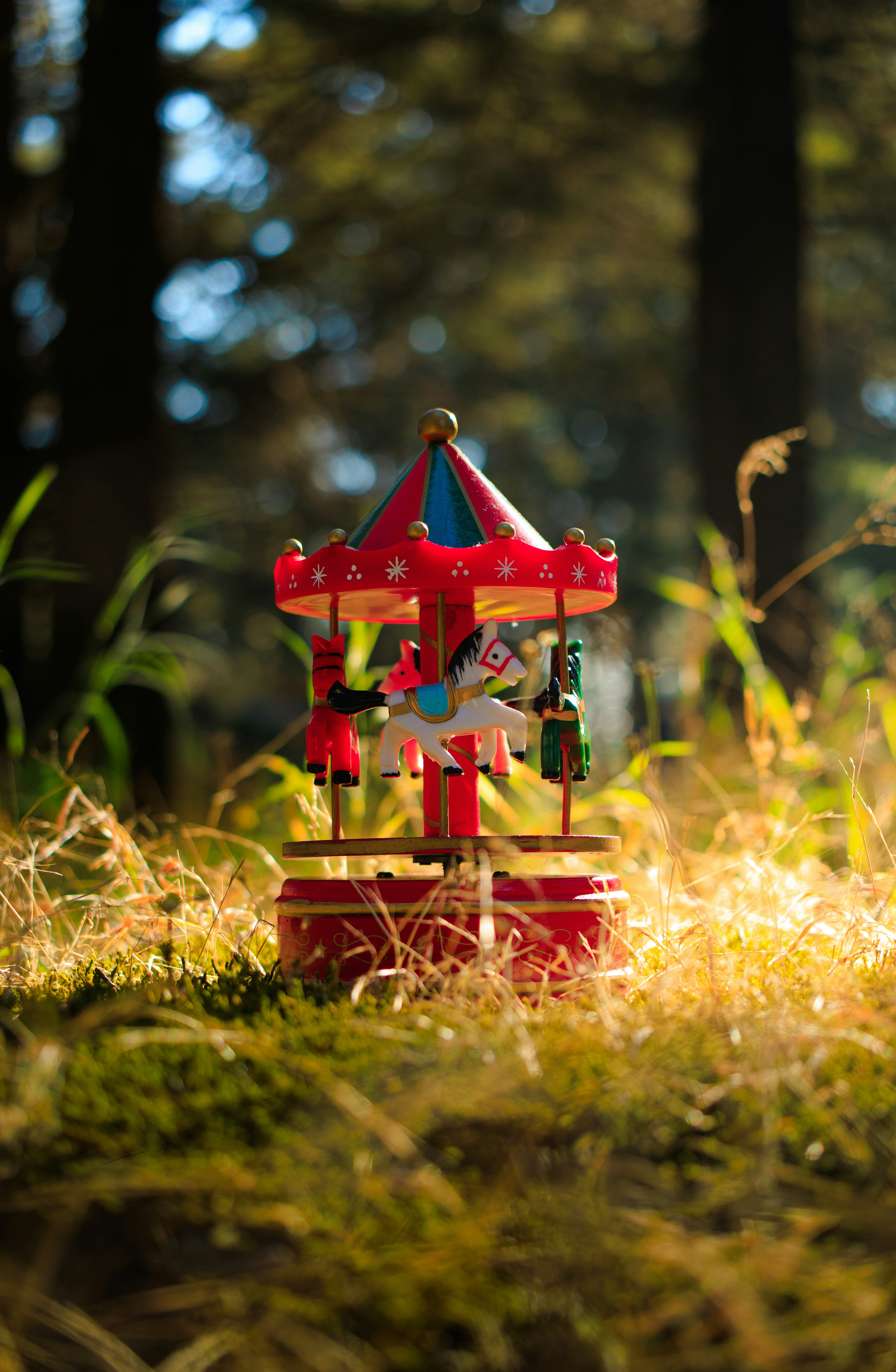 A small carousel toy sits in a grassy forest clearing.
