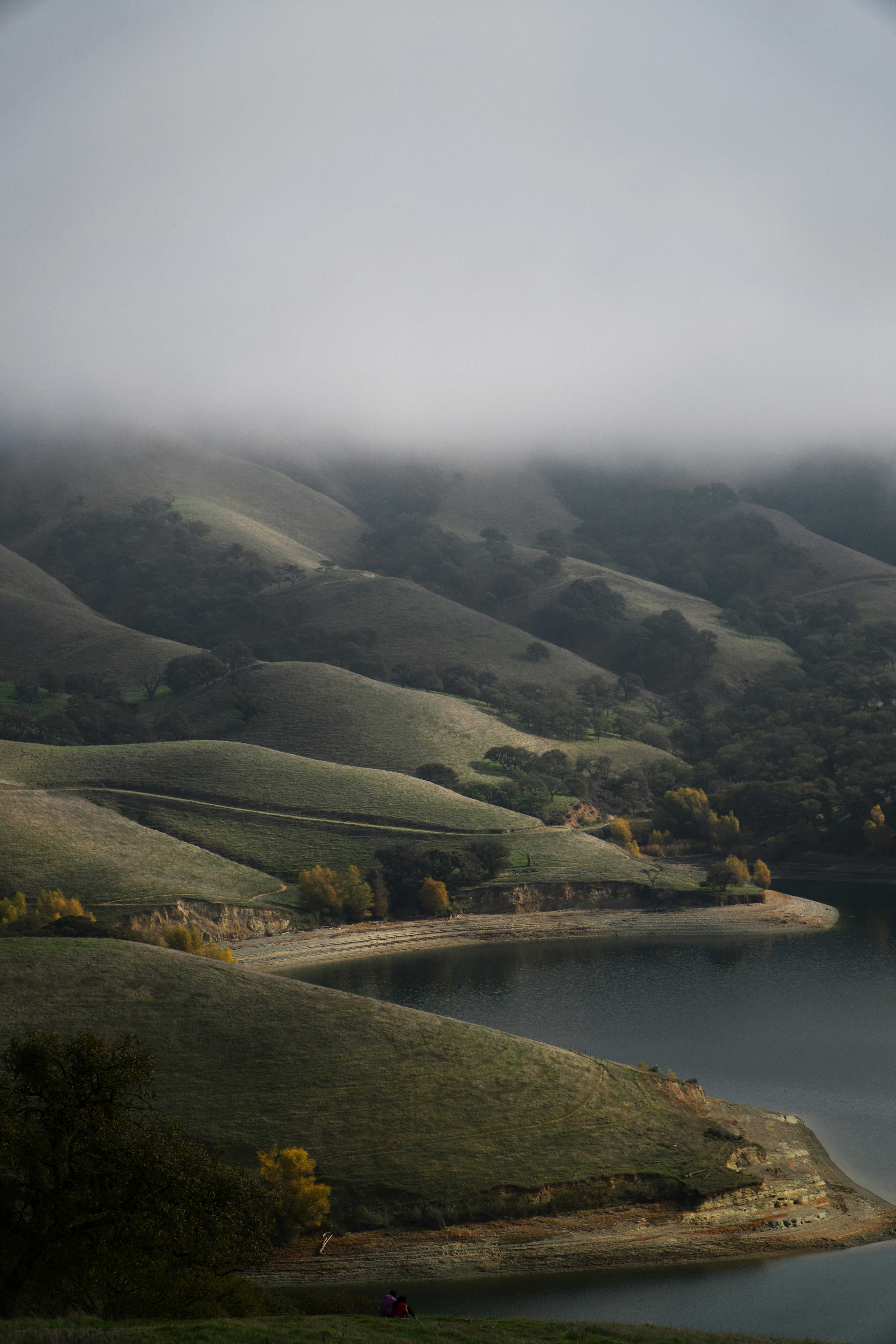 Misty fog rolls over rolling green hills by a lake.