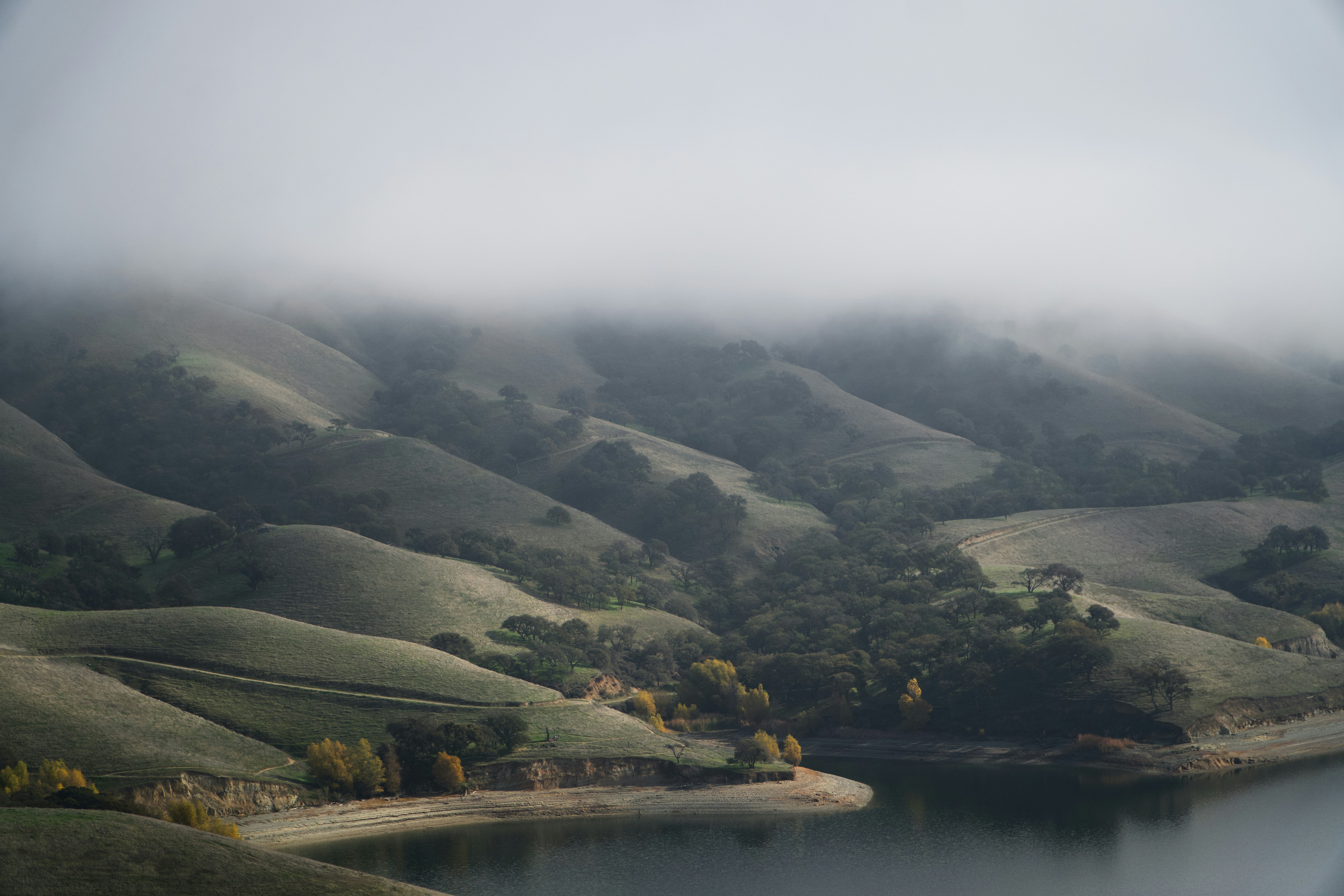 Misty fog rolls over rolling green hills near water.