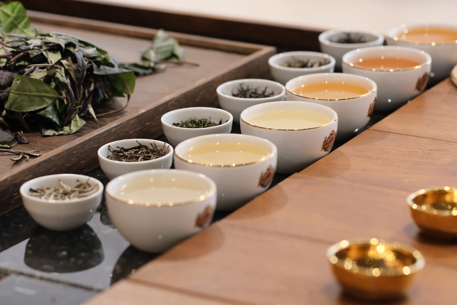 A row of white tasting cups filled with pale gold tea on a wooden counter