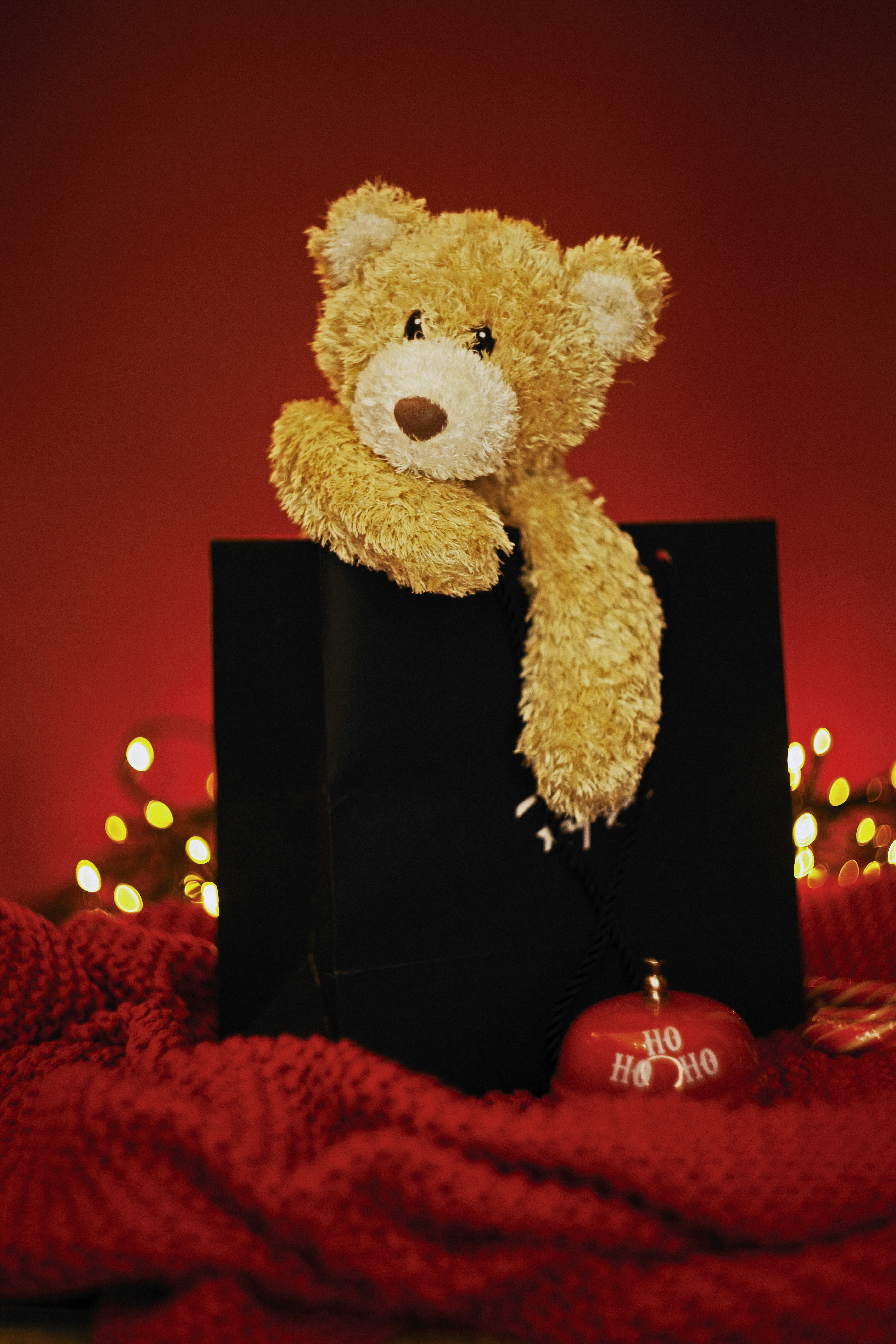 Teddy bear peeking out of gift bag with christmas lights.