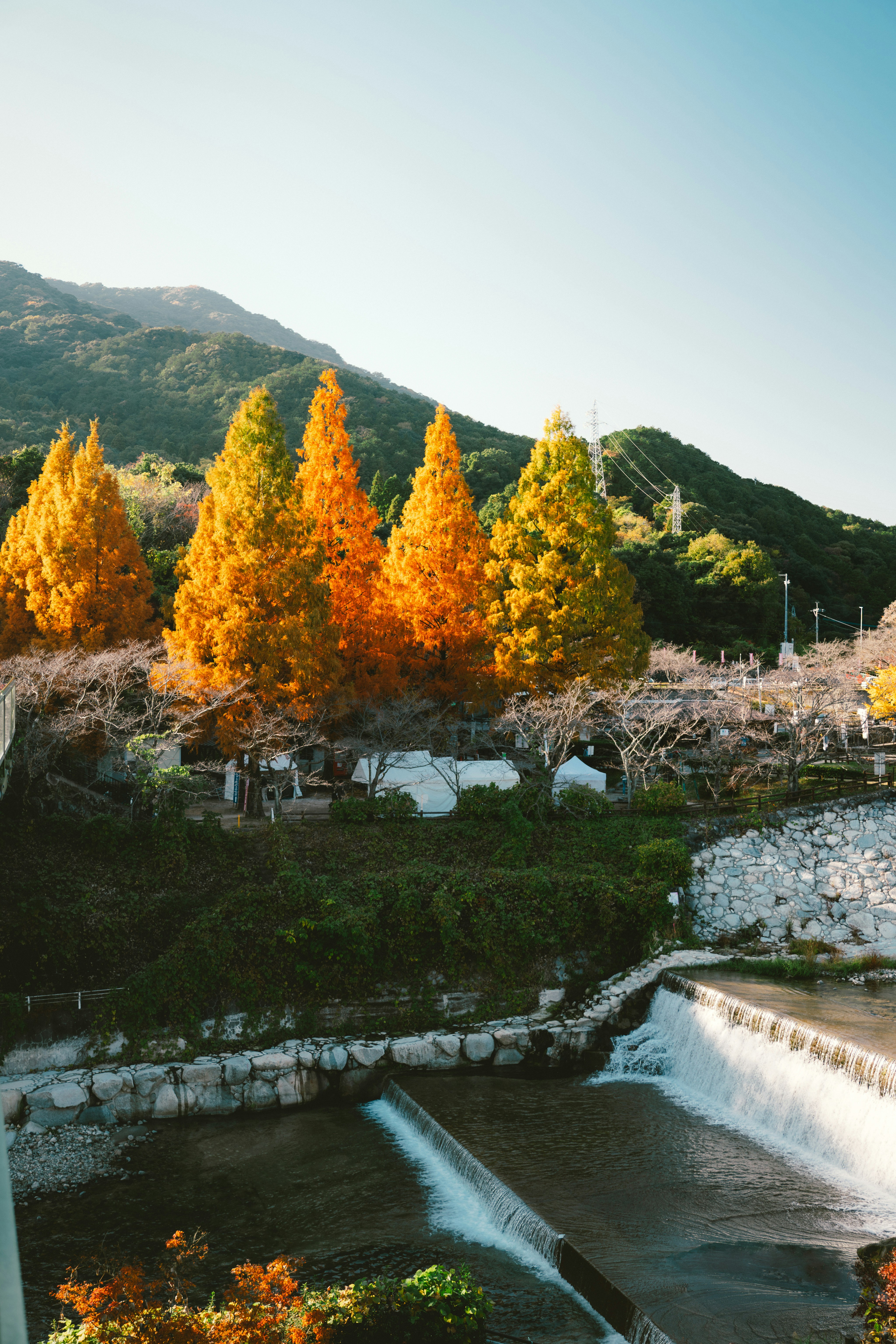 Árvores douradas de outono margeiam uma suave cachoeira nas montanhas.