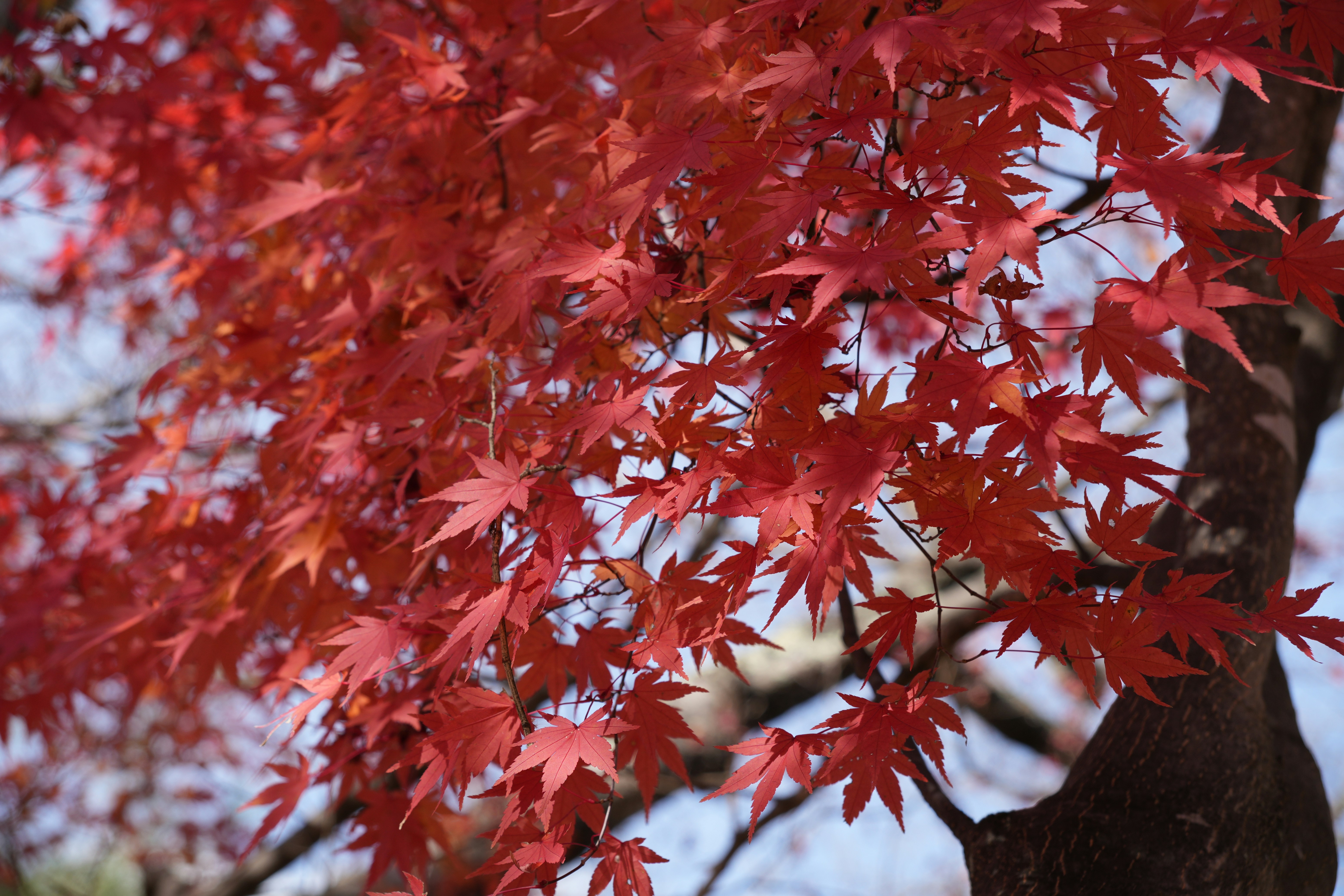 Photo by dm8ryphotos