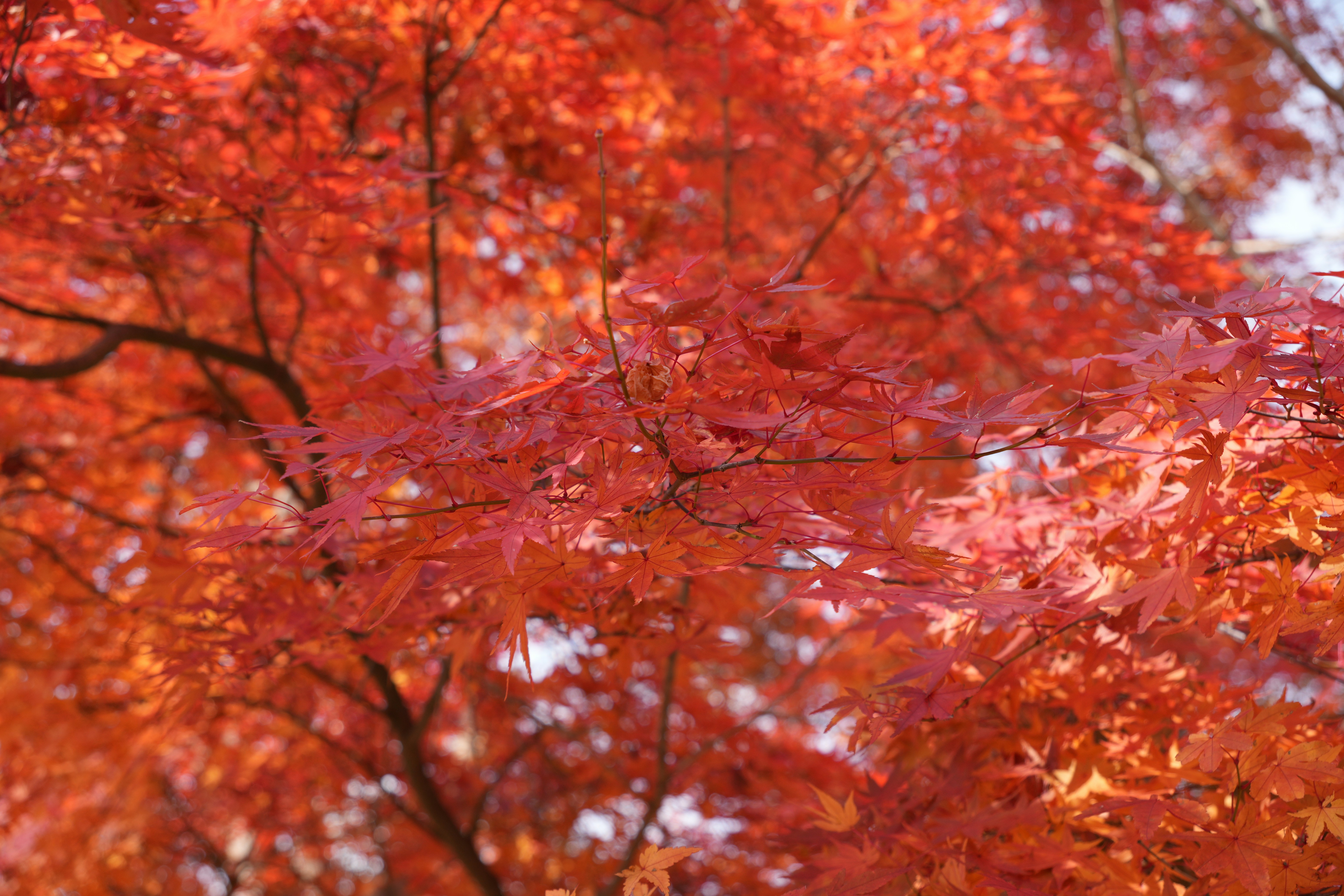 Photo by dm8ryphotos