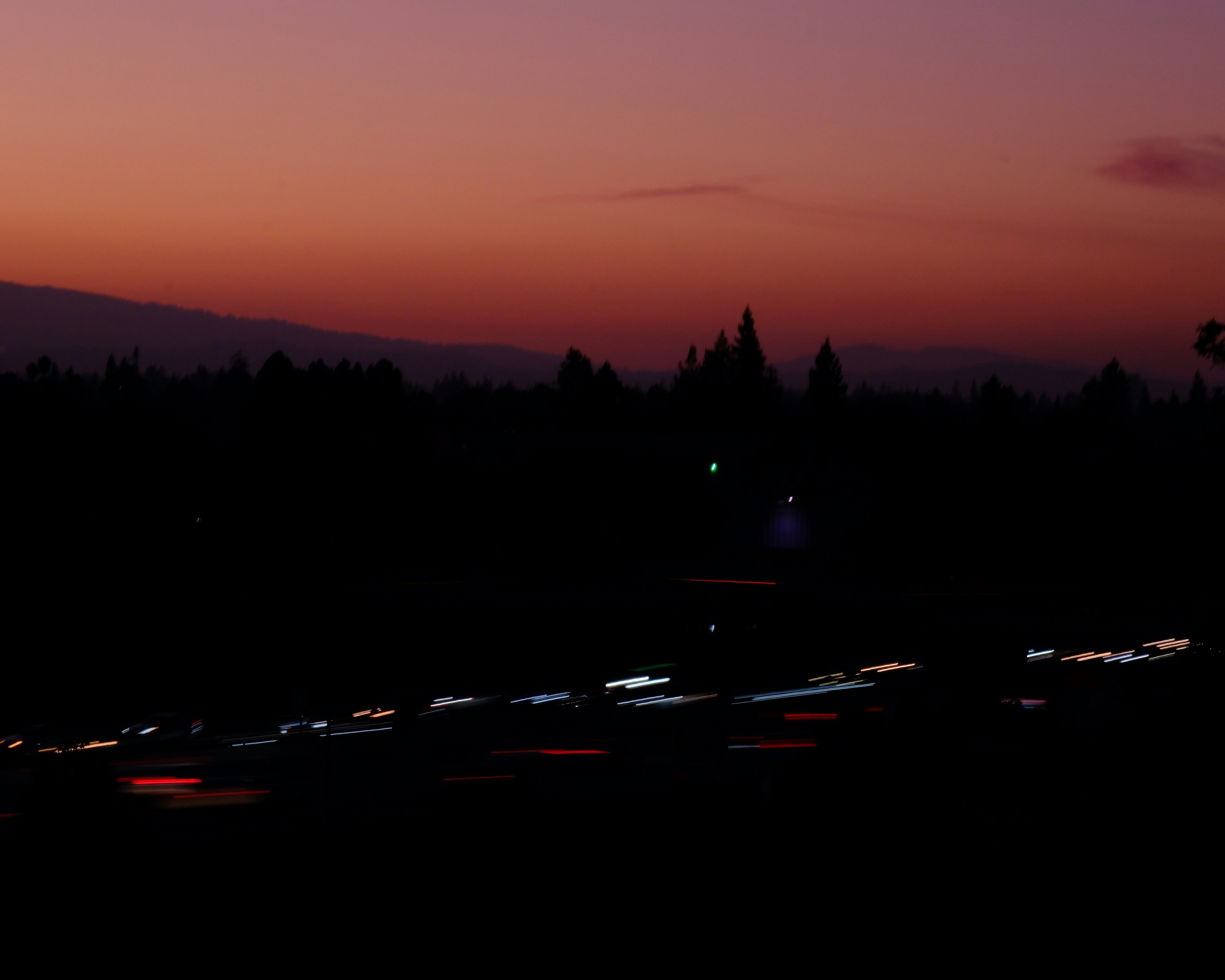 실루엣이 드러난 나무들과 멀리서 빛나는 황혼 하늘.