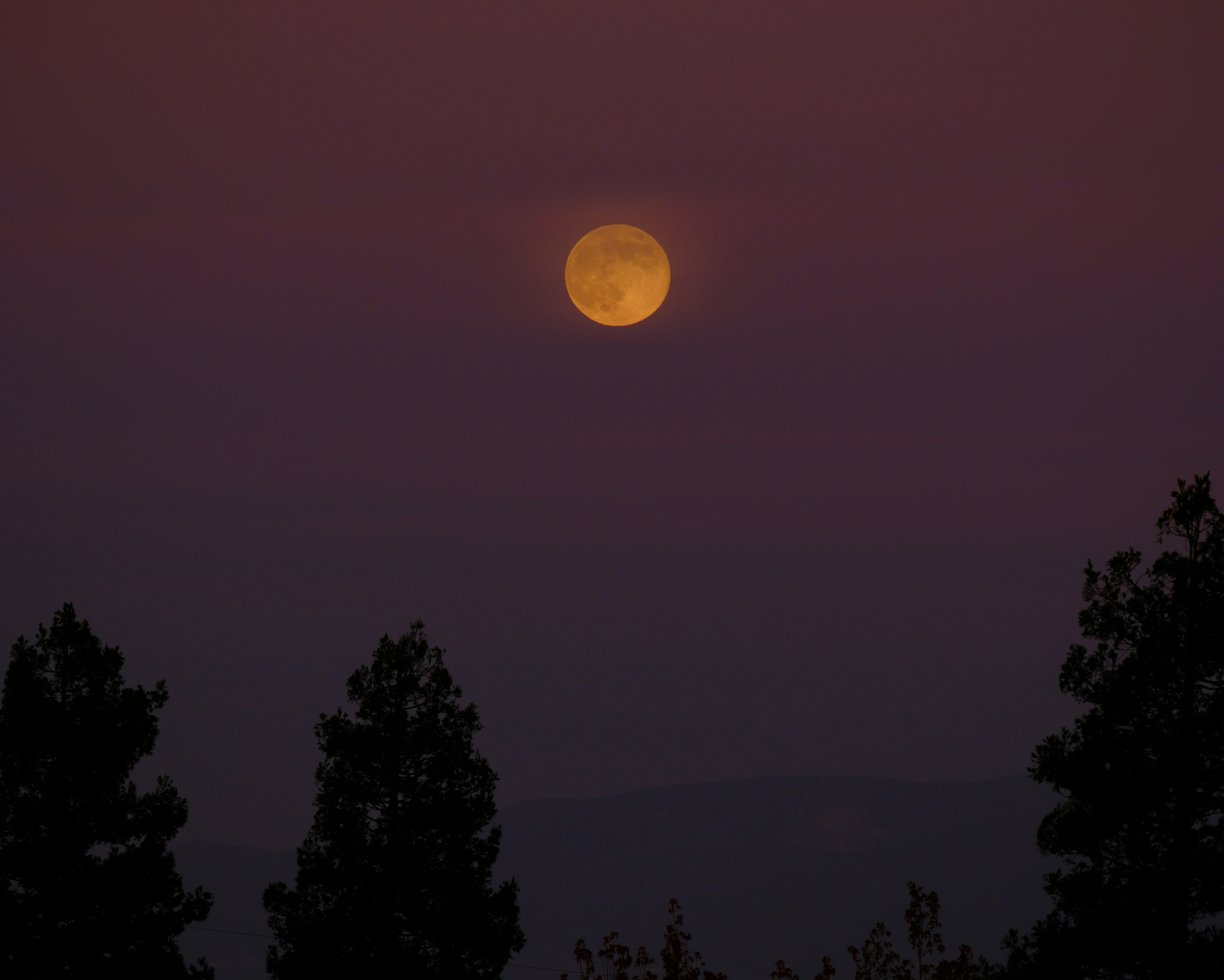 보랏빛 하늘에 보름달이 보였다.