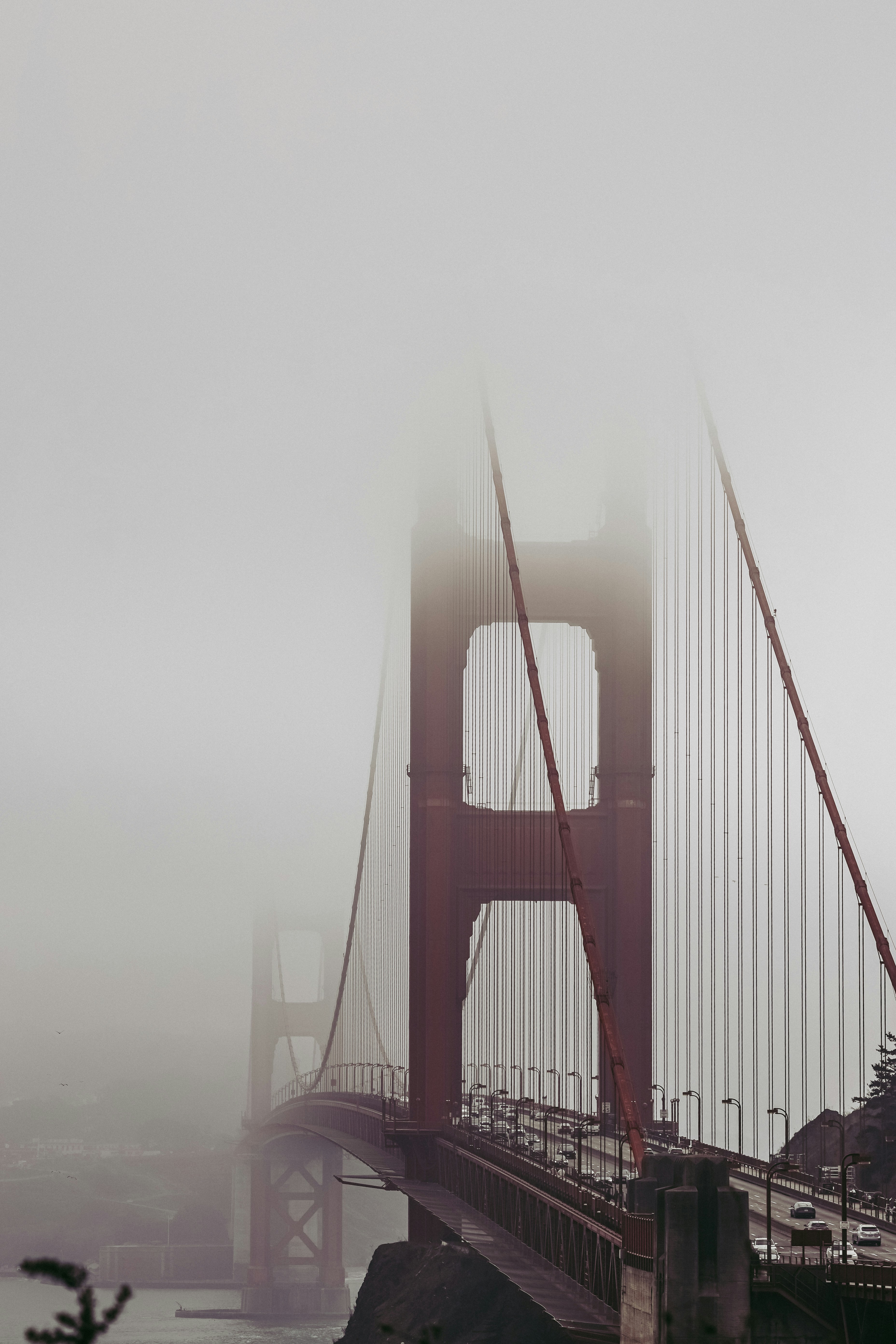 Photo by amandaswanepoel