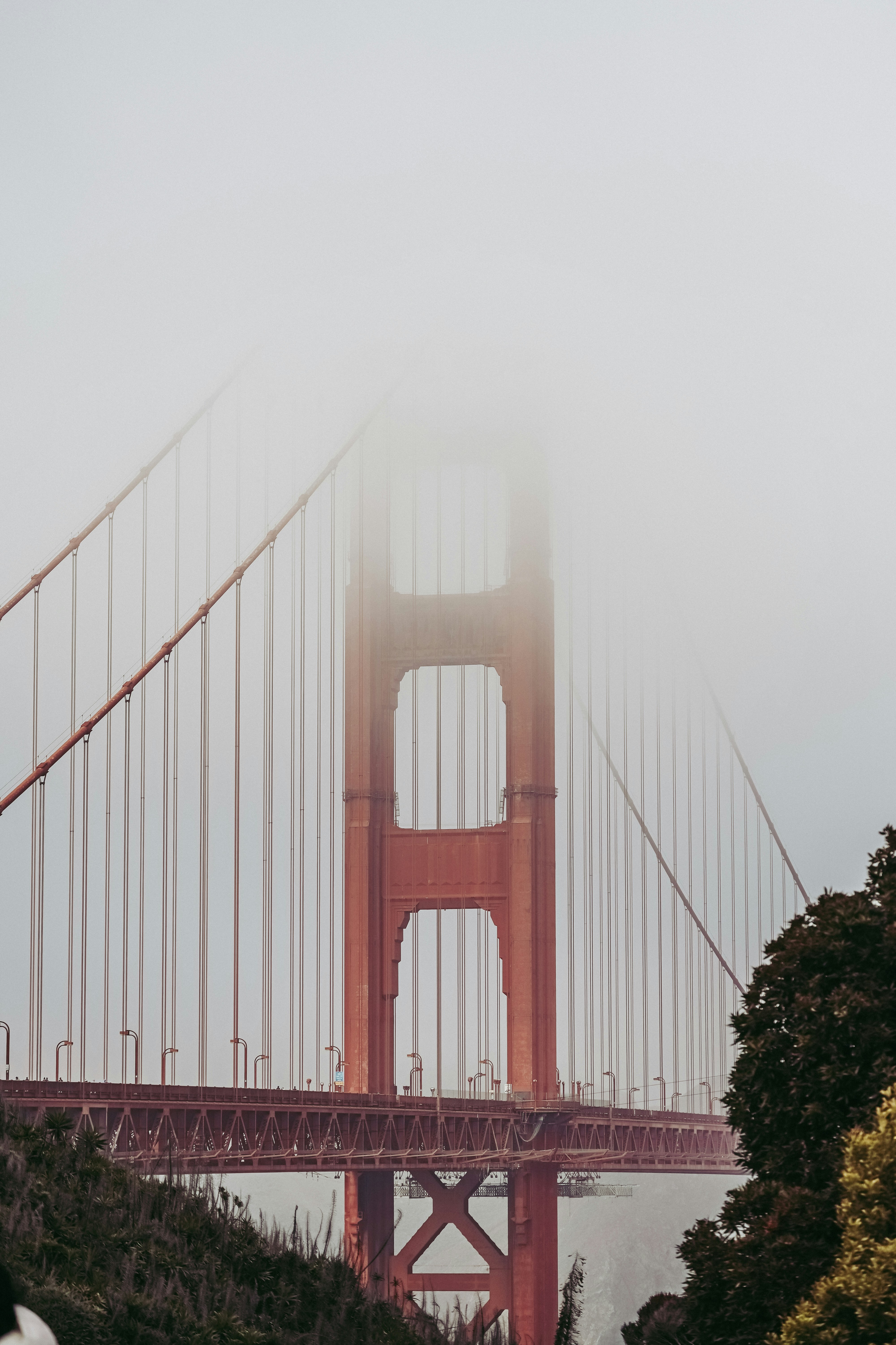 Photo by amandaswanepoel