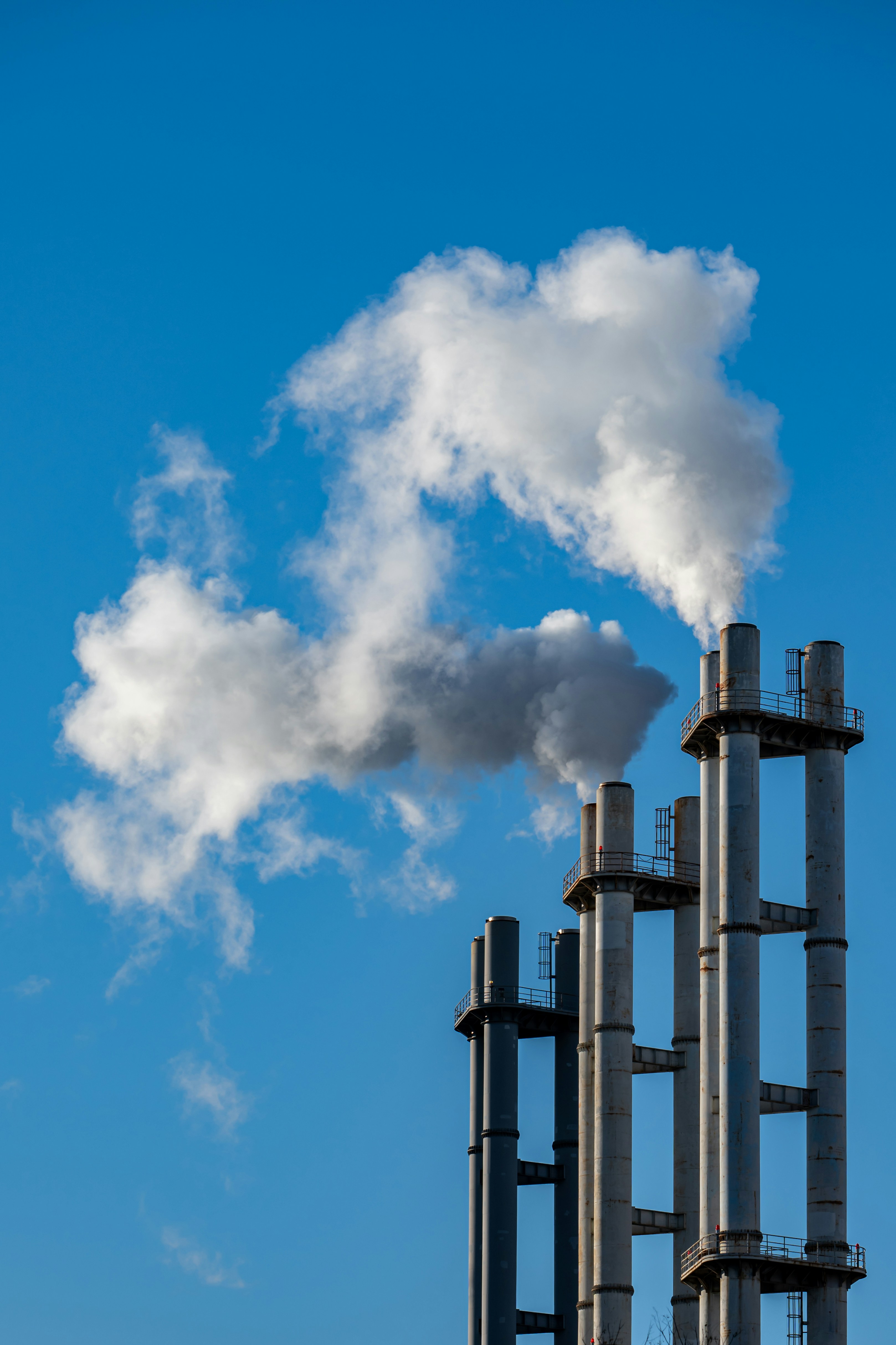 Photo by peek_a_boo_who