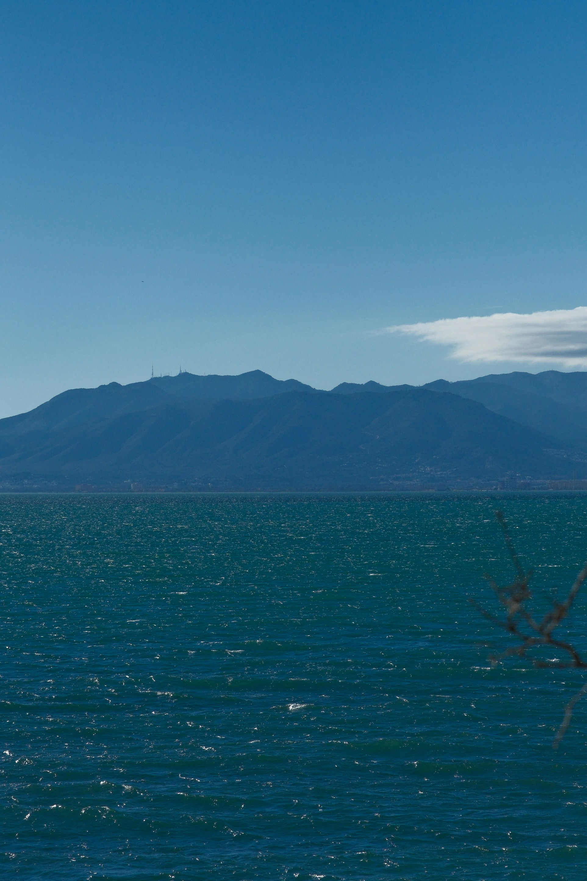 Photo by raulmermans