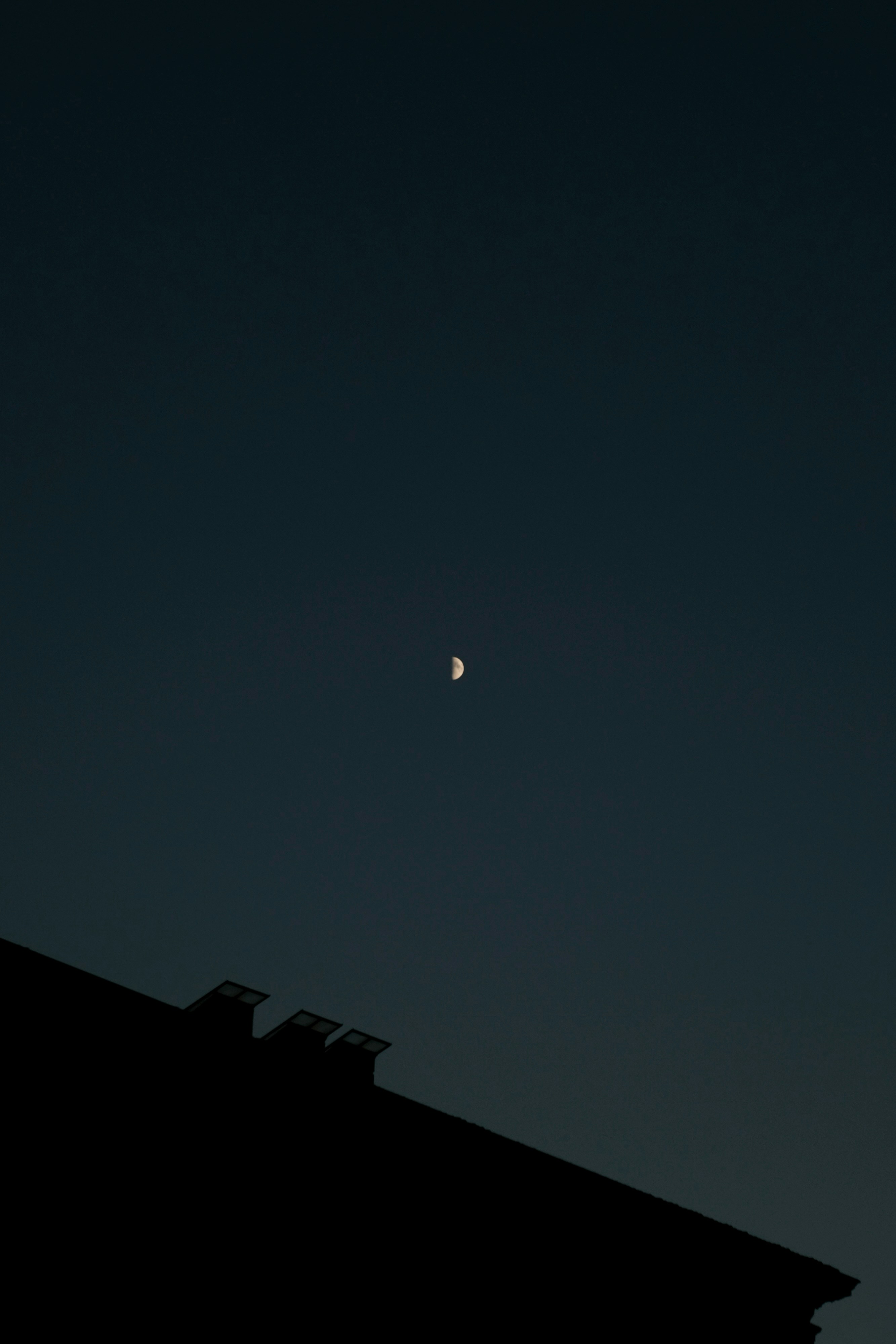 Photo by razvannfaur