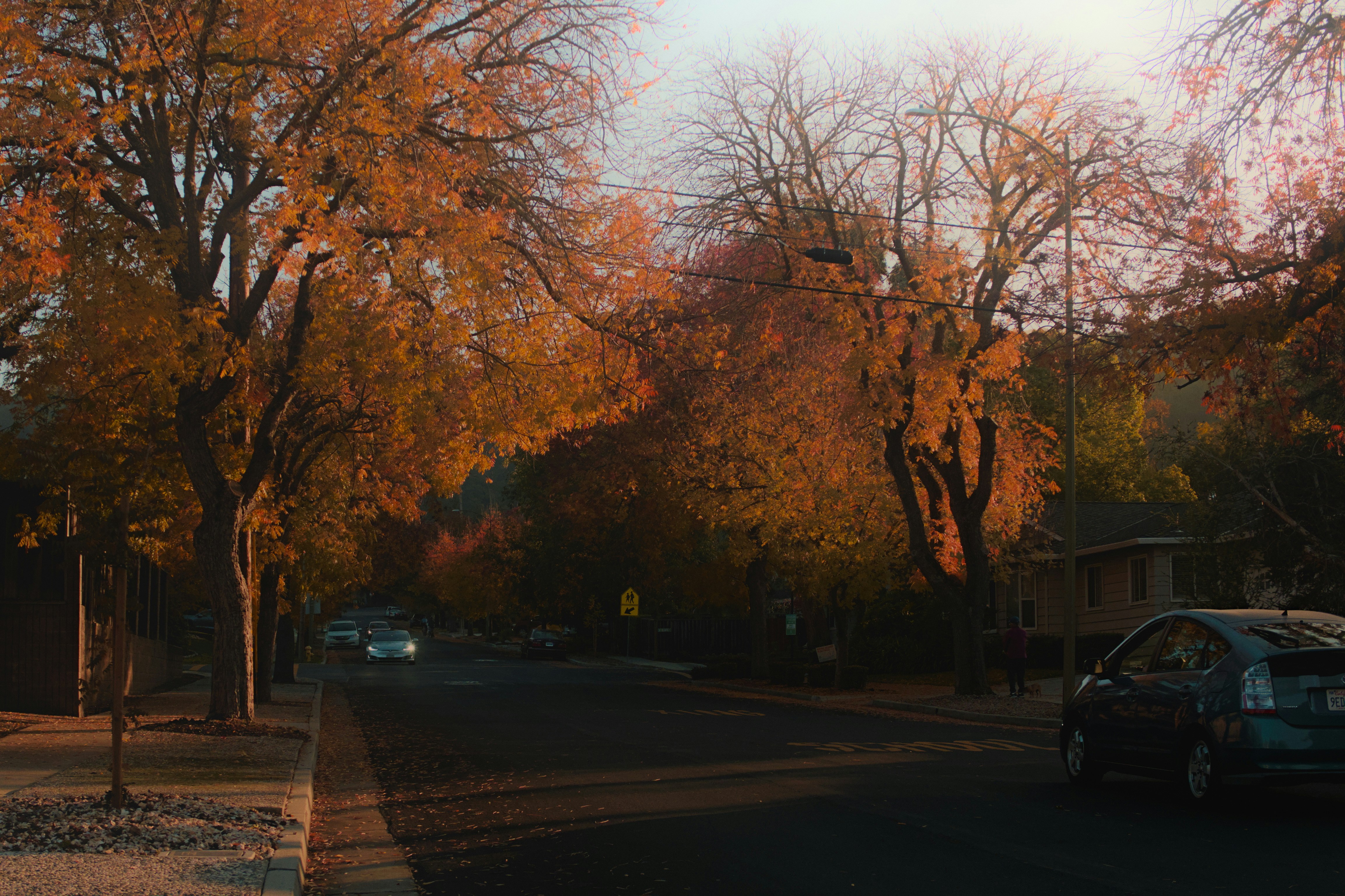 of a scenic street view in Madison Valley, WA - downsizing realtor in madison valley wa