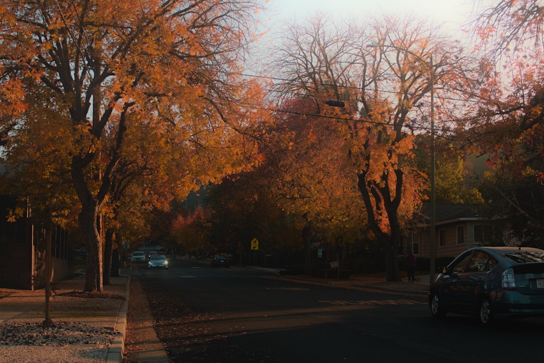 of a scenic street view in Madison Valley, WA - downsizing realtor in madison valley wa of a scenic street view in Madison Valley, WA - downsizing realtor in madison valley wa