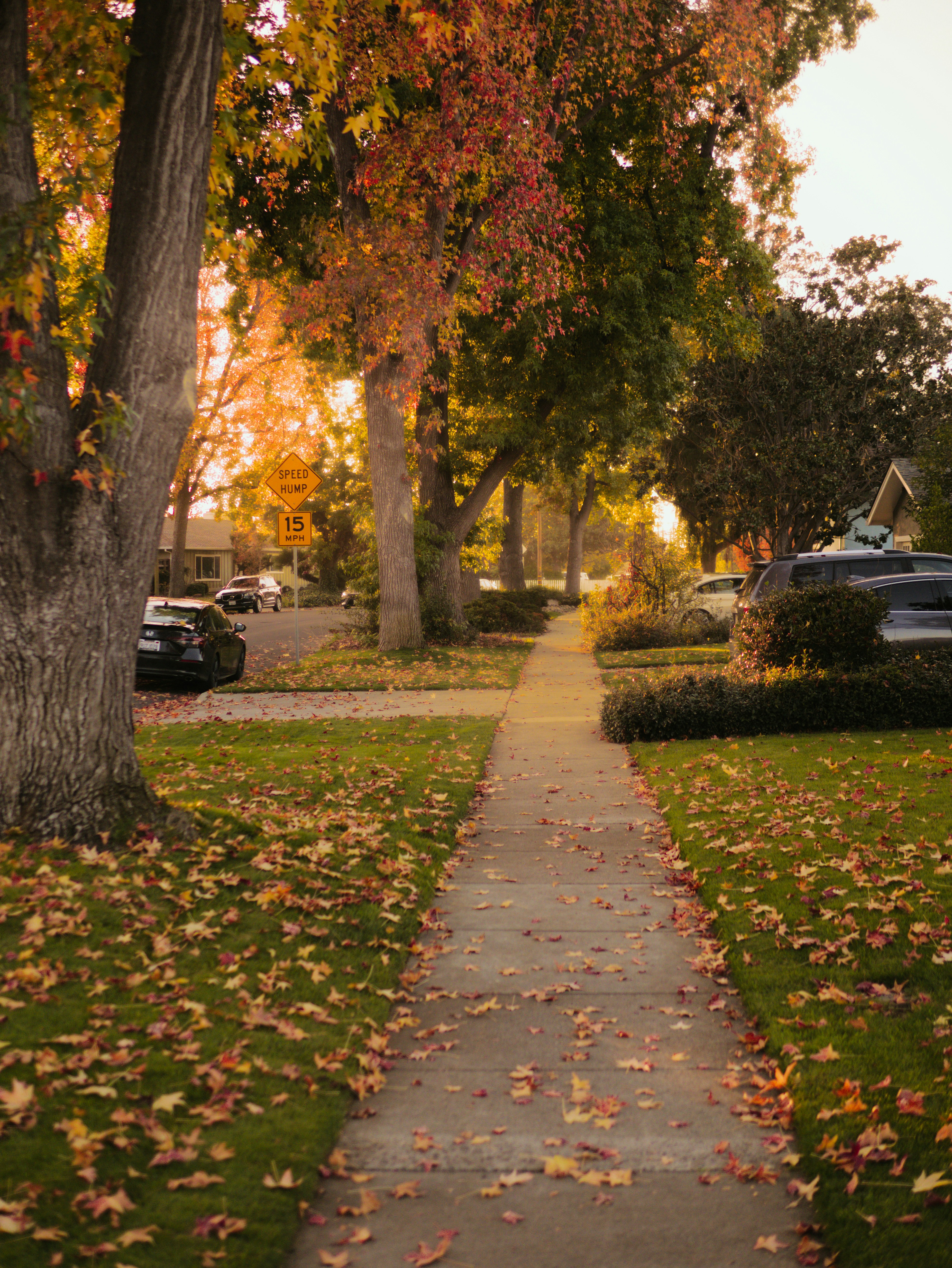 Photo by sohan_shingade