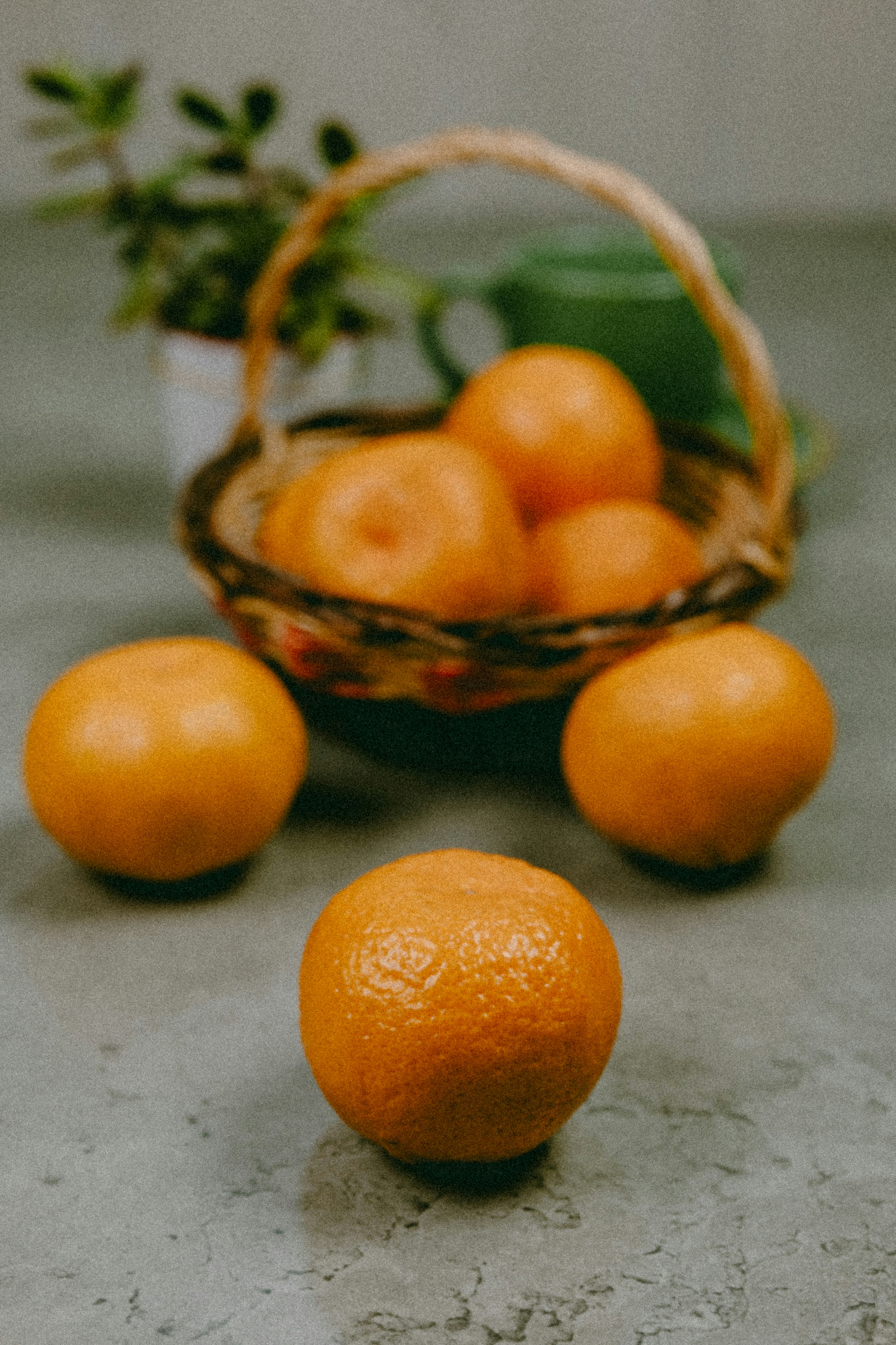 Photo by anajovanovski