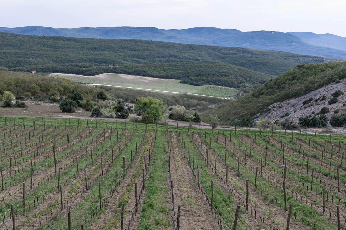 Tierra de Barros