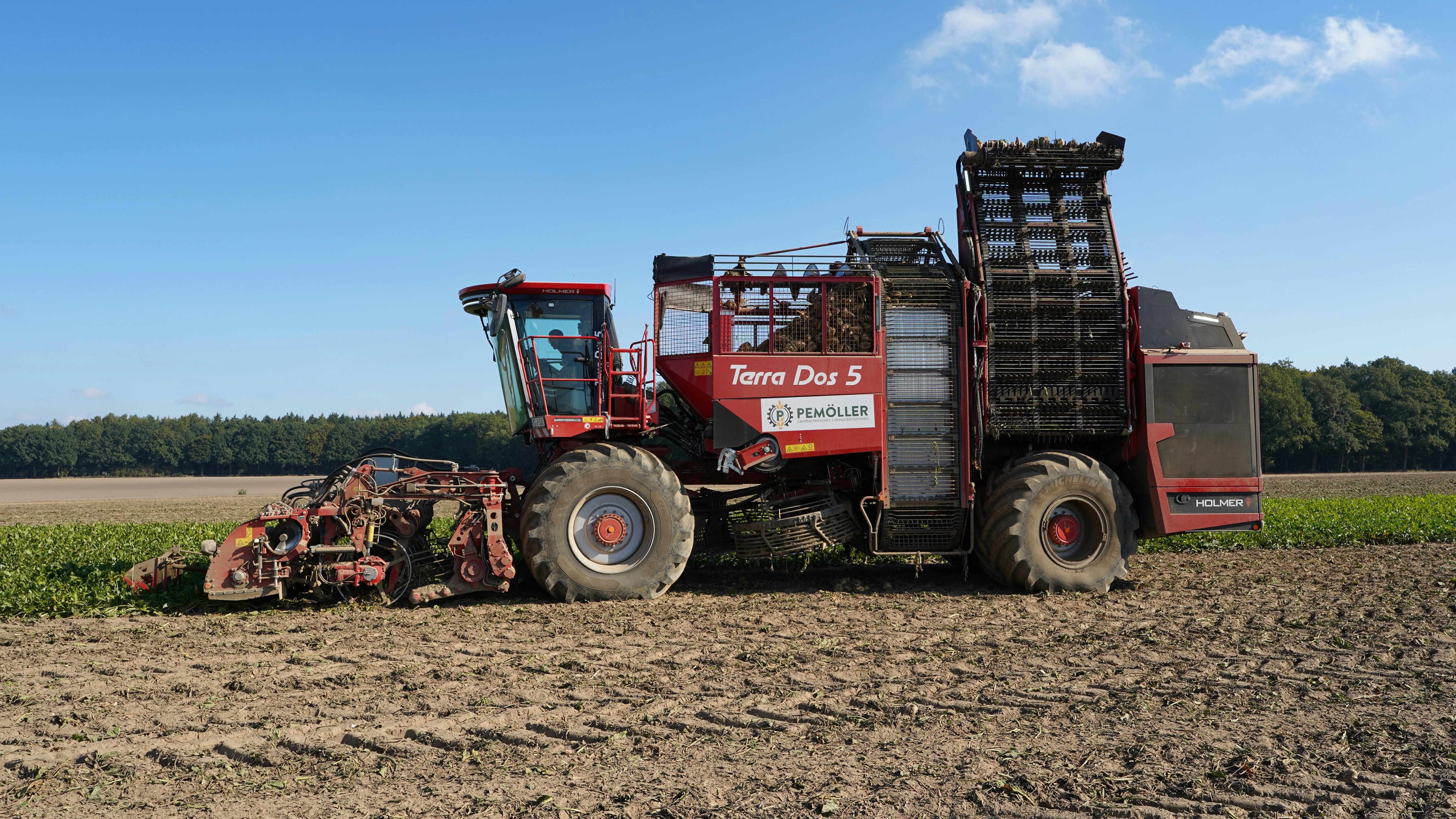 Photo by hamburgmeinefreundin