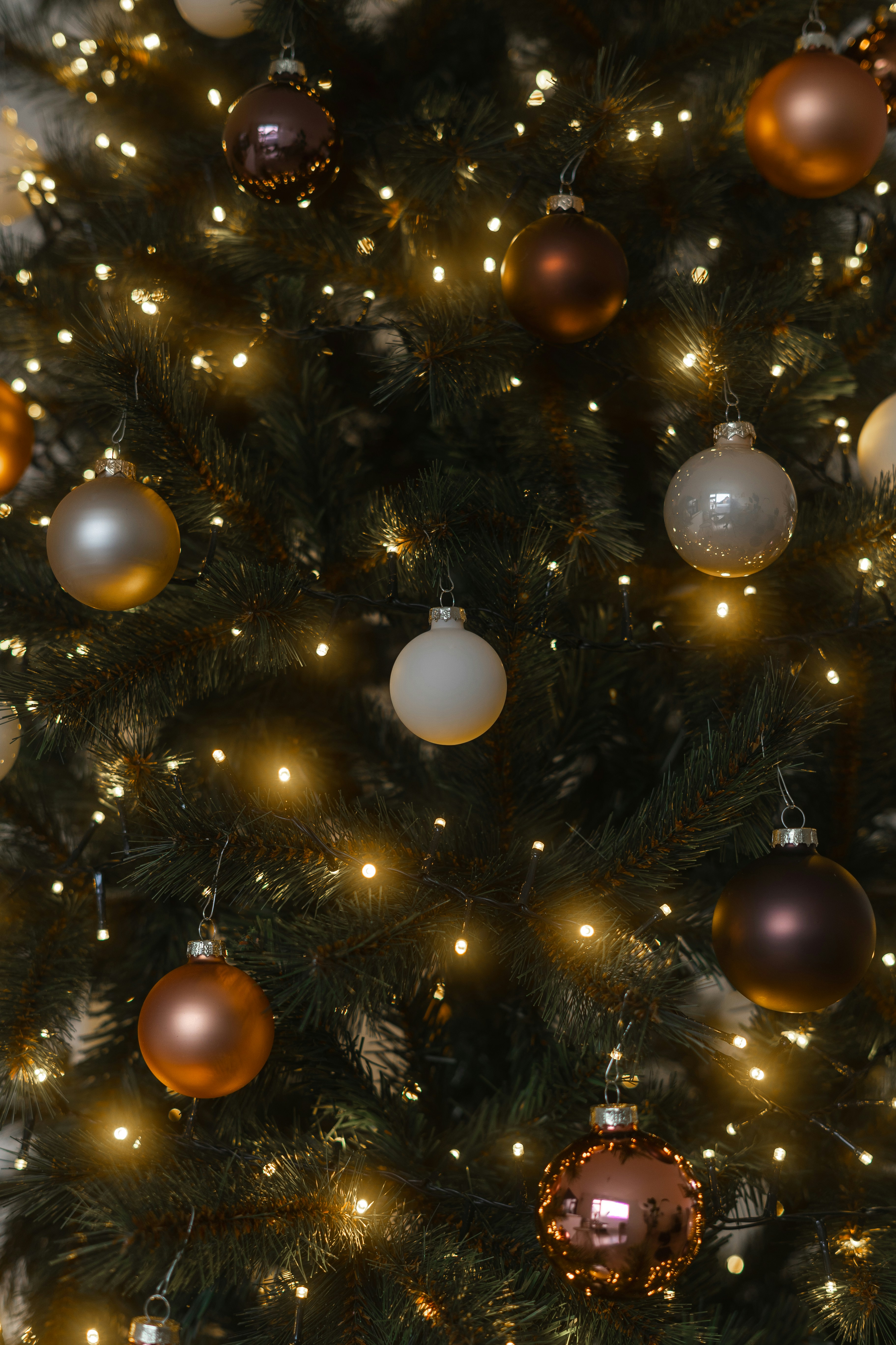 Close-up of a decorated christmas tree with lights.