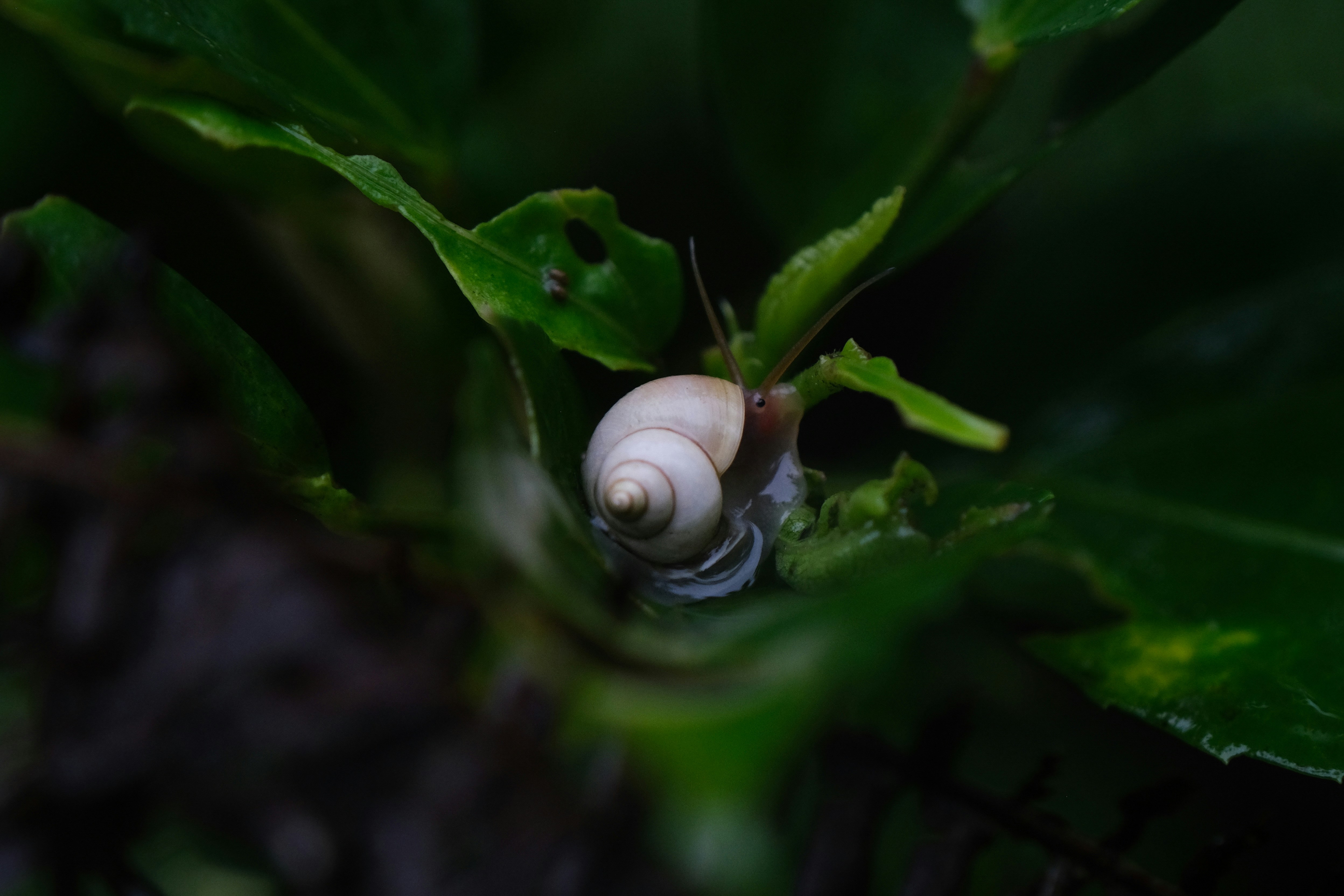 Photo by loubarross888