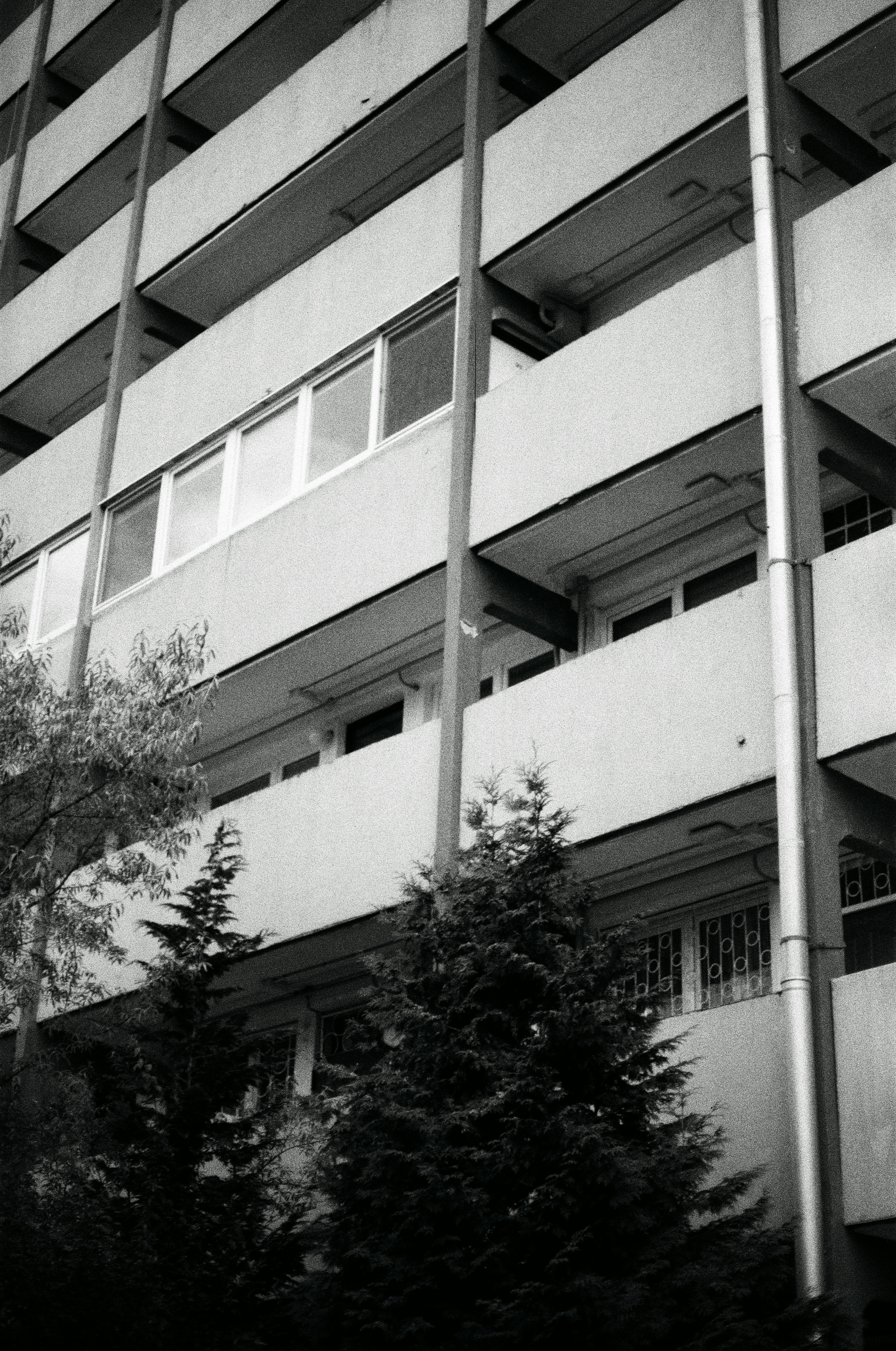 Photo by aucoeurdumonstre