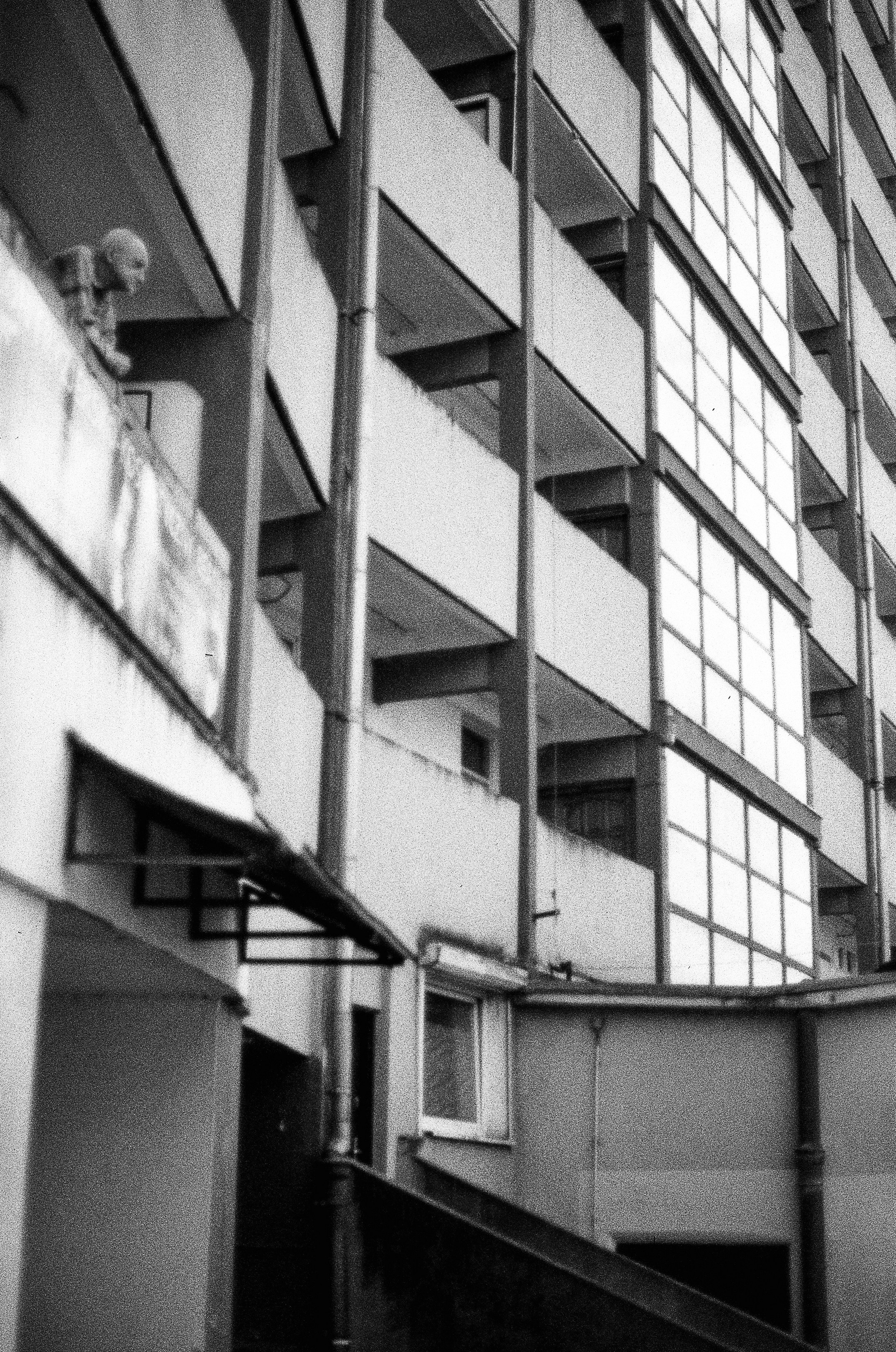 Photo by aucoeurdumonstre