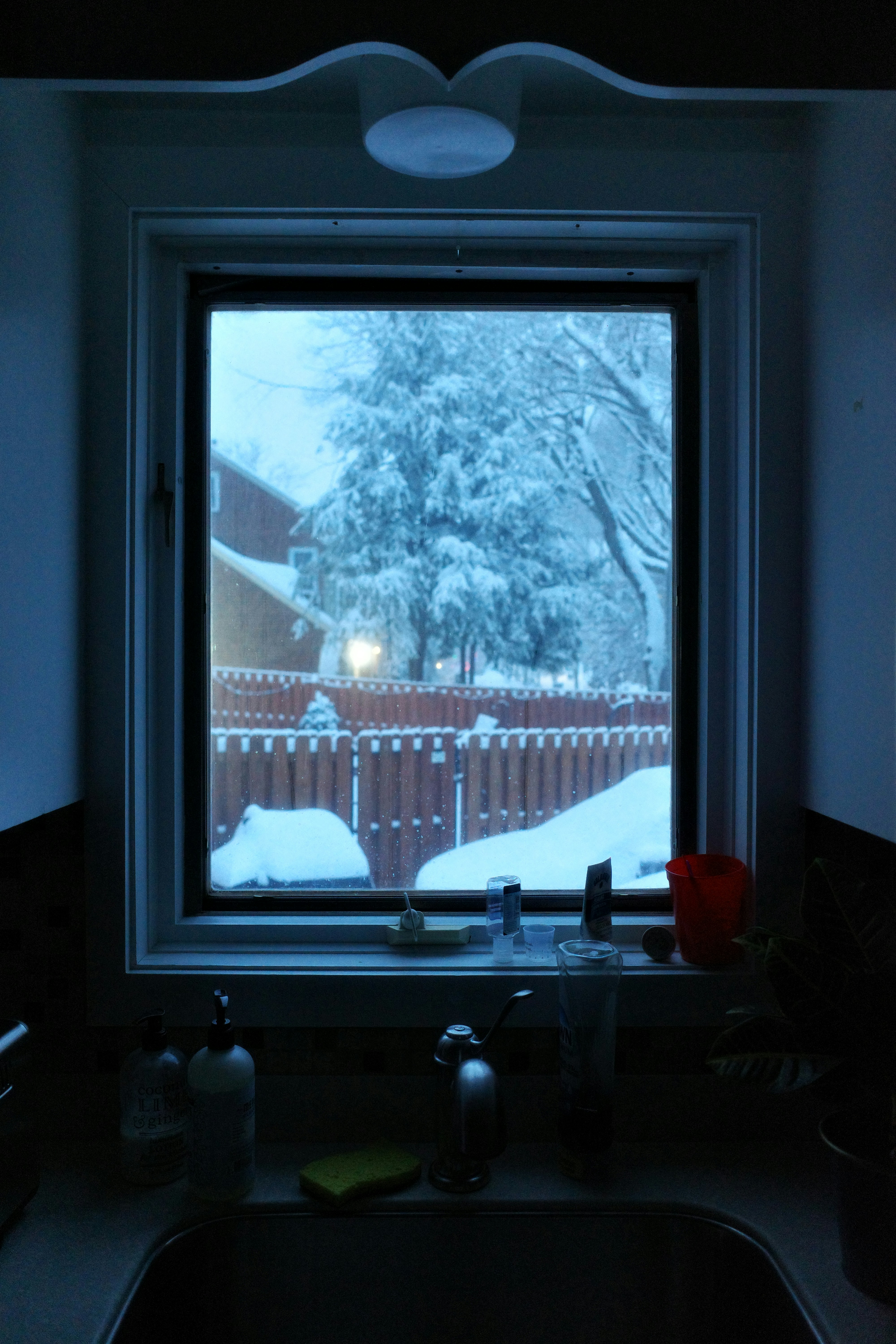 Photo by stevedimatteo