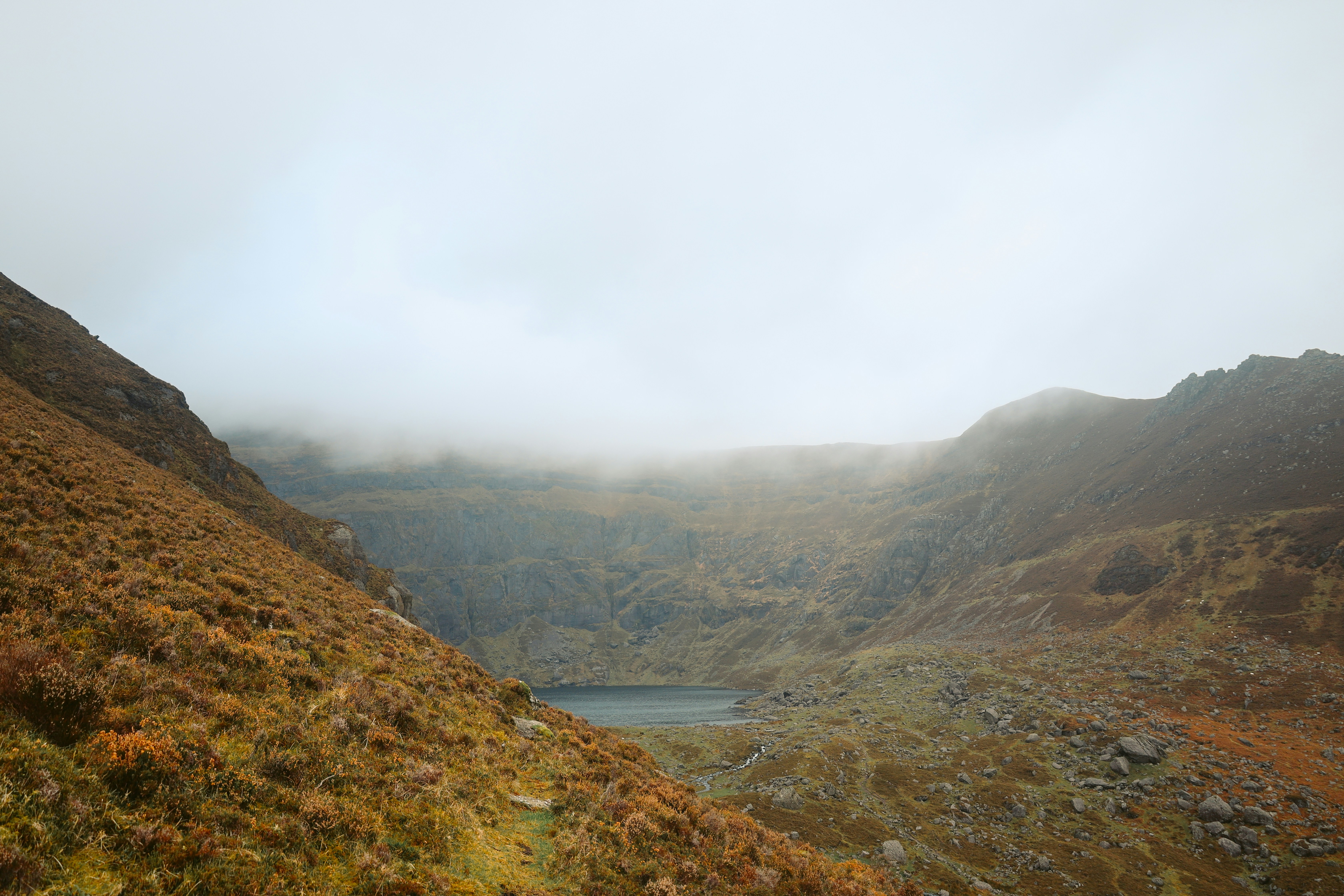 Photo by himo_beast1996